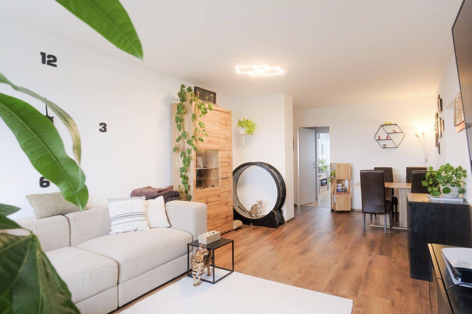 Offener Wohn- und Essbereich mit modernem Sofa, Esstisch und Laminatboden.