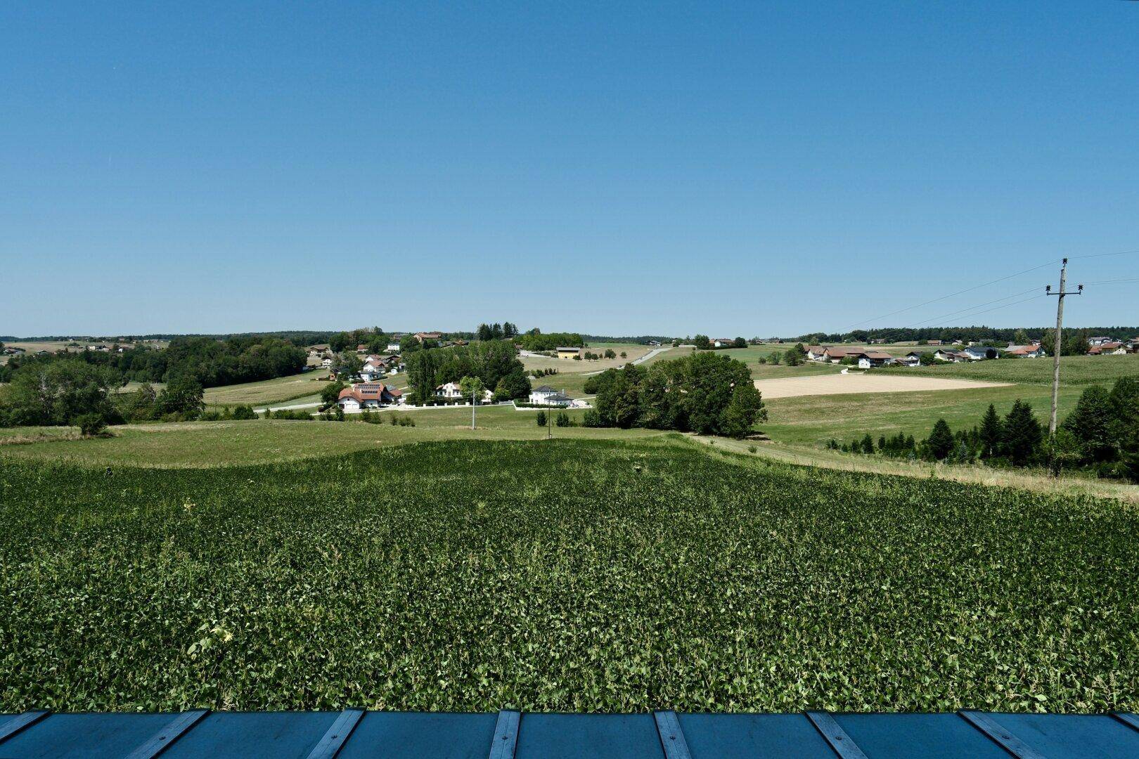 Weitläufiger Blick über grüne Felder und eine ländliche Siedlung unter blauem Himmel.