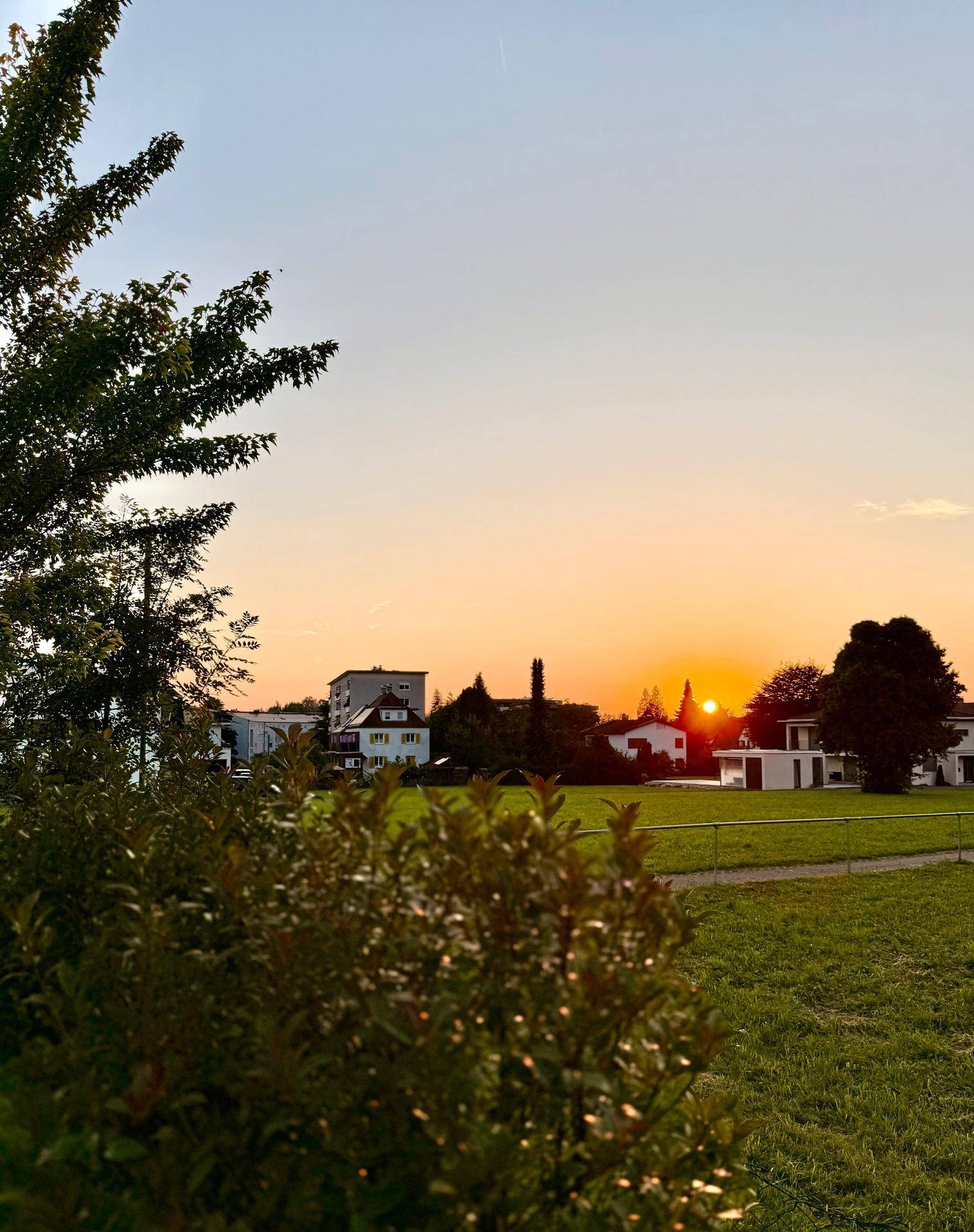 Malerischer Sonnenuntergang über einer grünen Wiese mit Bäumen und Häusern am Horizont.