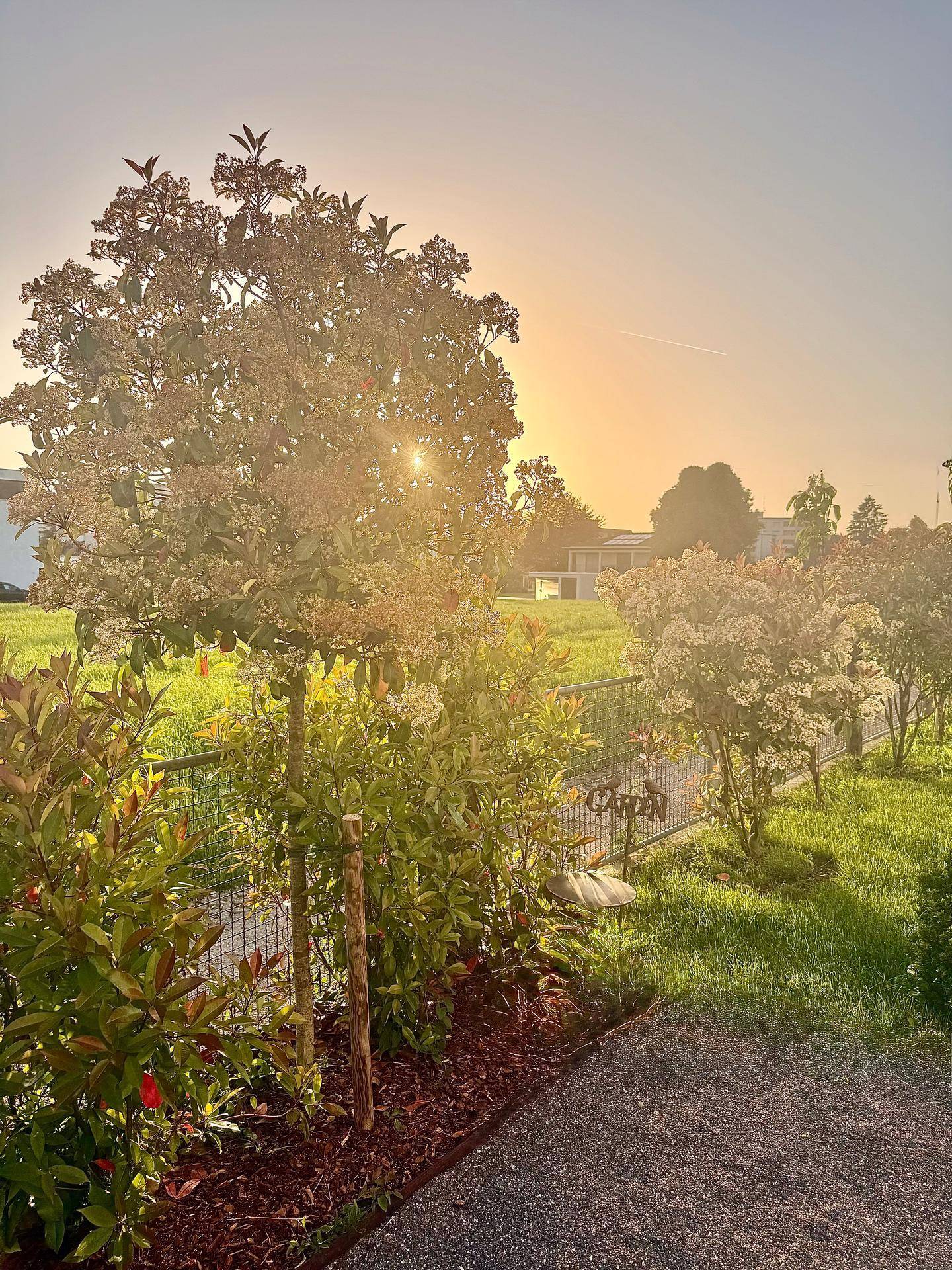 Blühender Gartenbereich mit Sträuchern und einem dekorativen 'GARDEN'-Schild bei Sonnenuntergang.