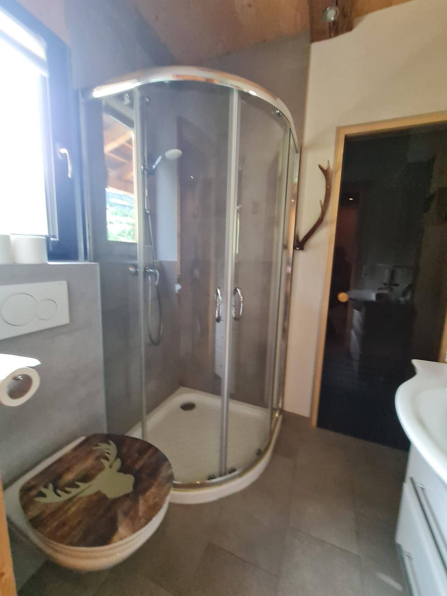 Modernes Badezimmer mit Duschkabine, WC und Fenster, dekoriert im alpinen Stil.