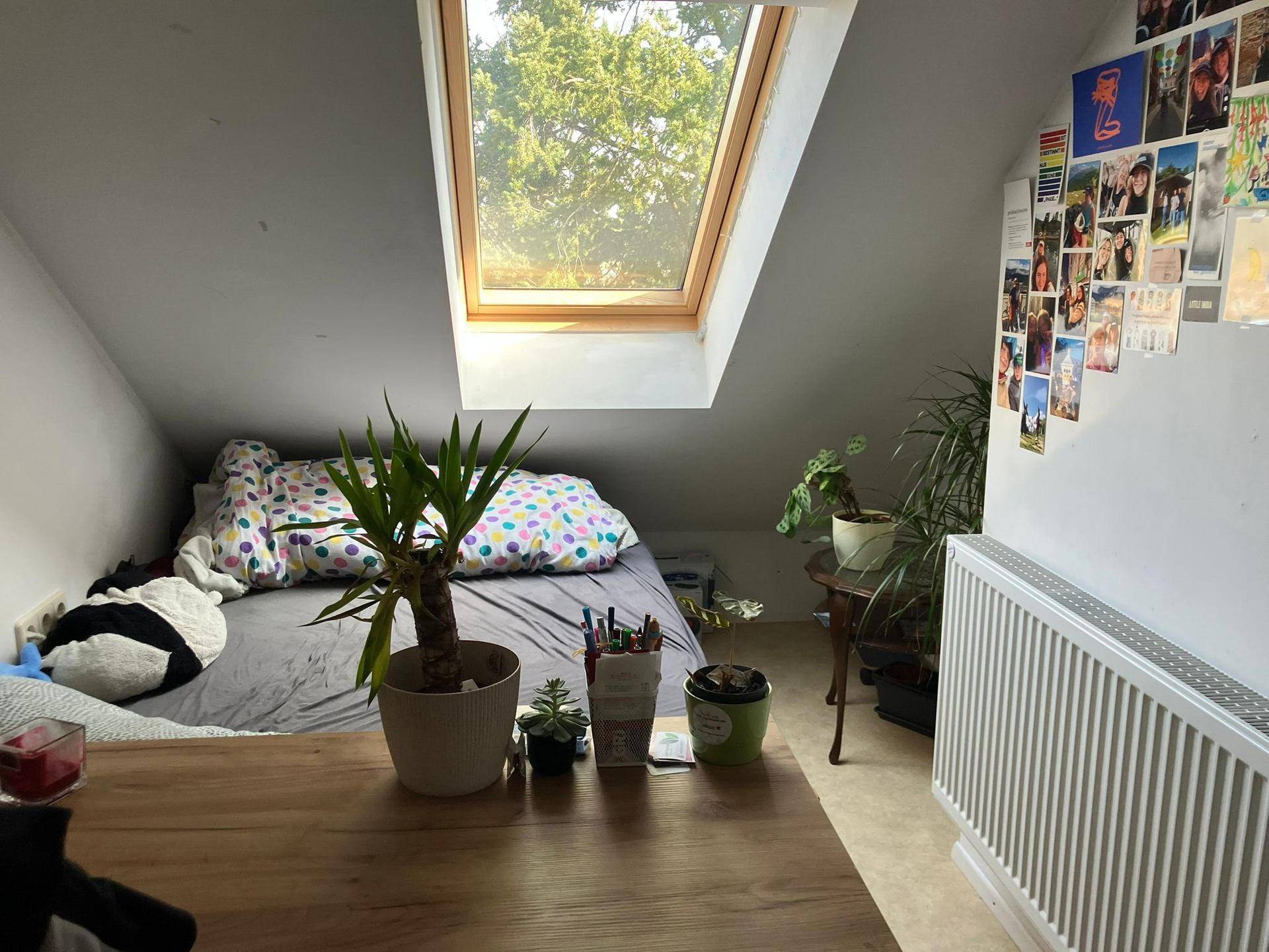 Gemütliches Schlafzimmer im Dachgeschoss mit großem Dachfenster und viel Tageslicht.