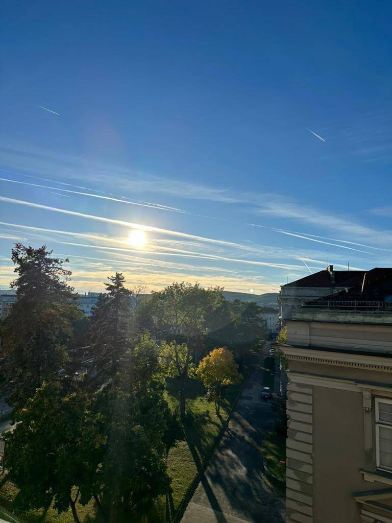 Sonniger Ausblick über die Stadt mit grünen Bäumen und weitem Horizont unter blauem Himmel.