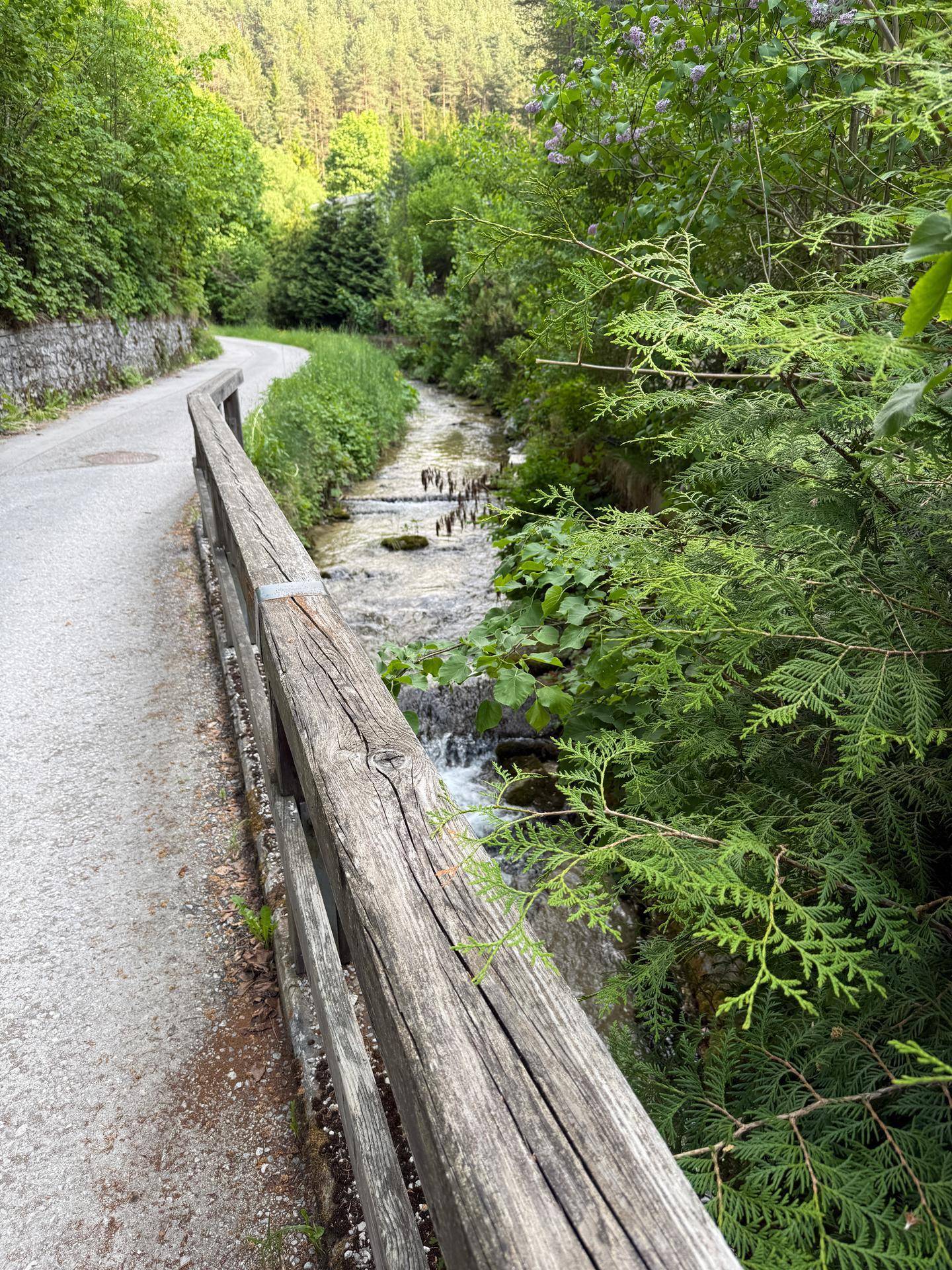 Schmaler Bachlauf neben einer Landstraße mit rustikalem Holzzaun und üppiger Vegetation.