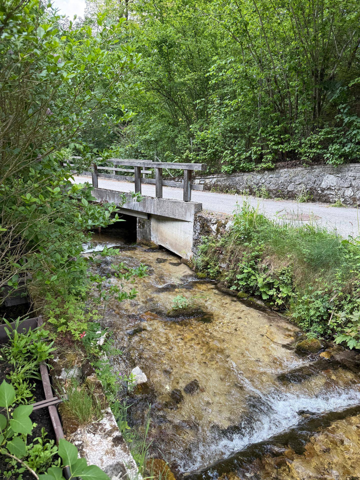 Kleine Betonbrücke über einen flachen Bach, umgeben von dichtem Grün und Bäumen.