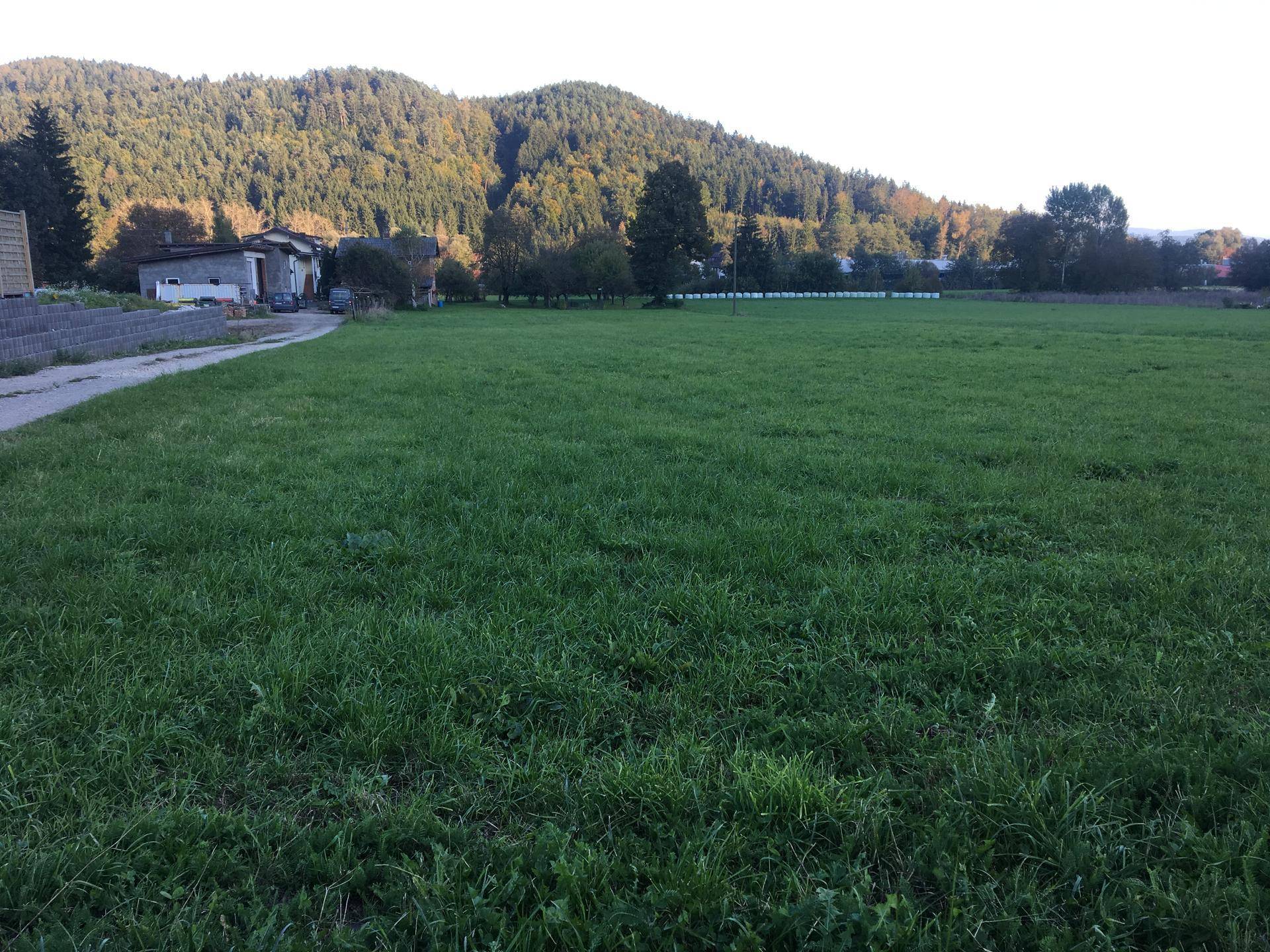 Weitläufige grüne Wiese mit Blick auf bewaldete Hügel und ländliche Bebauung im Hintergrund.