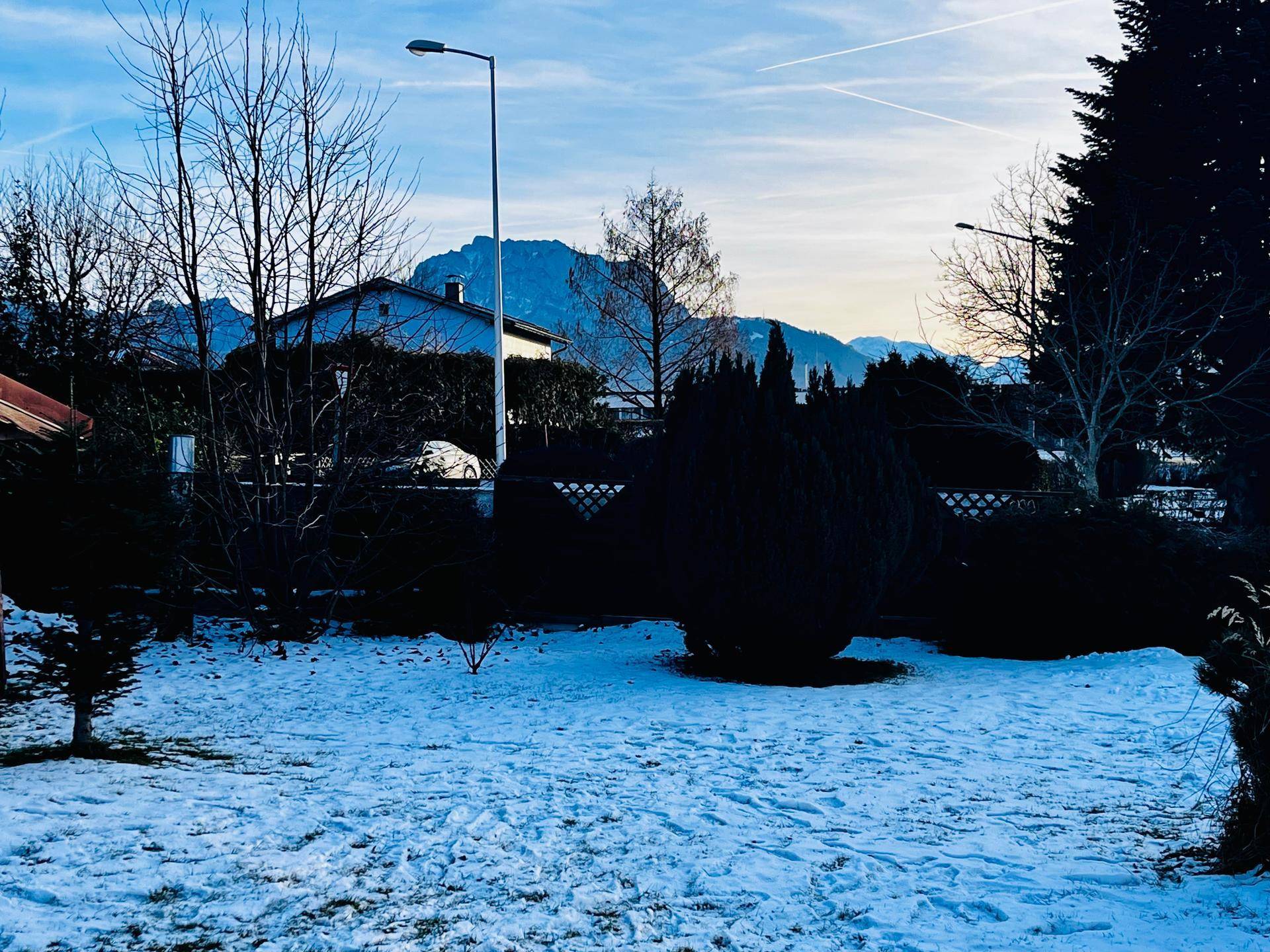 Ruhiger, verschneiter Garten mit Bäumen und einem klaren Blick auf die entfernten Berge.
