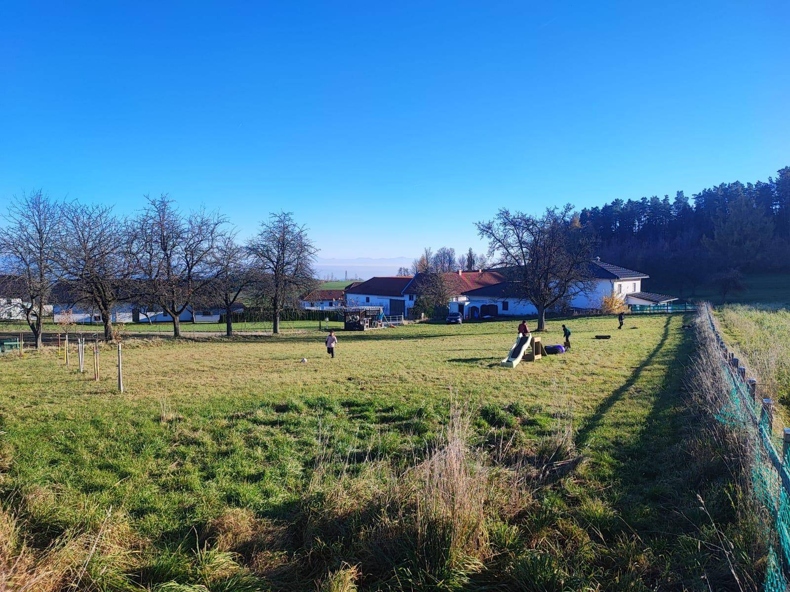 Weitläufige Grünfläche mit Bäumen und einem Spielplatz, ideal für Familien im Grünen.