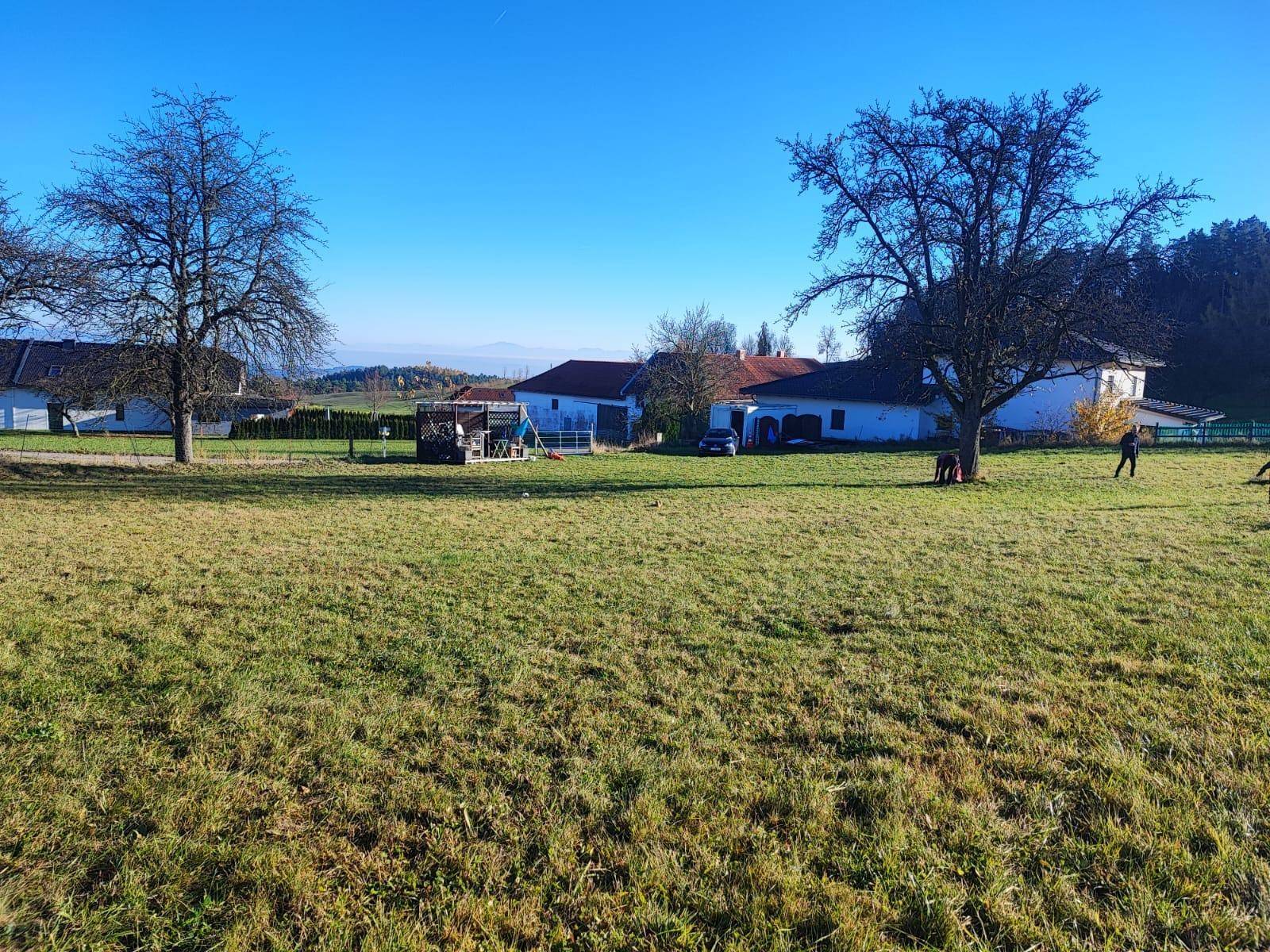 Weitläufige Grünfläche mit Bäumen und ländlichen Gebäuden im Hintergrund unter blauem Himmel.