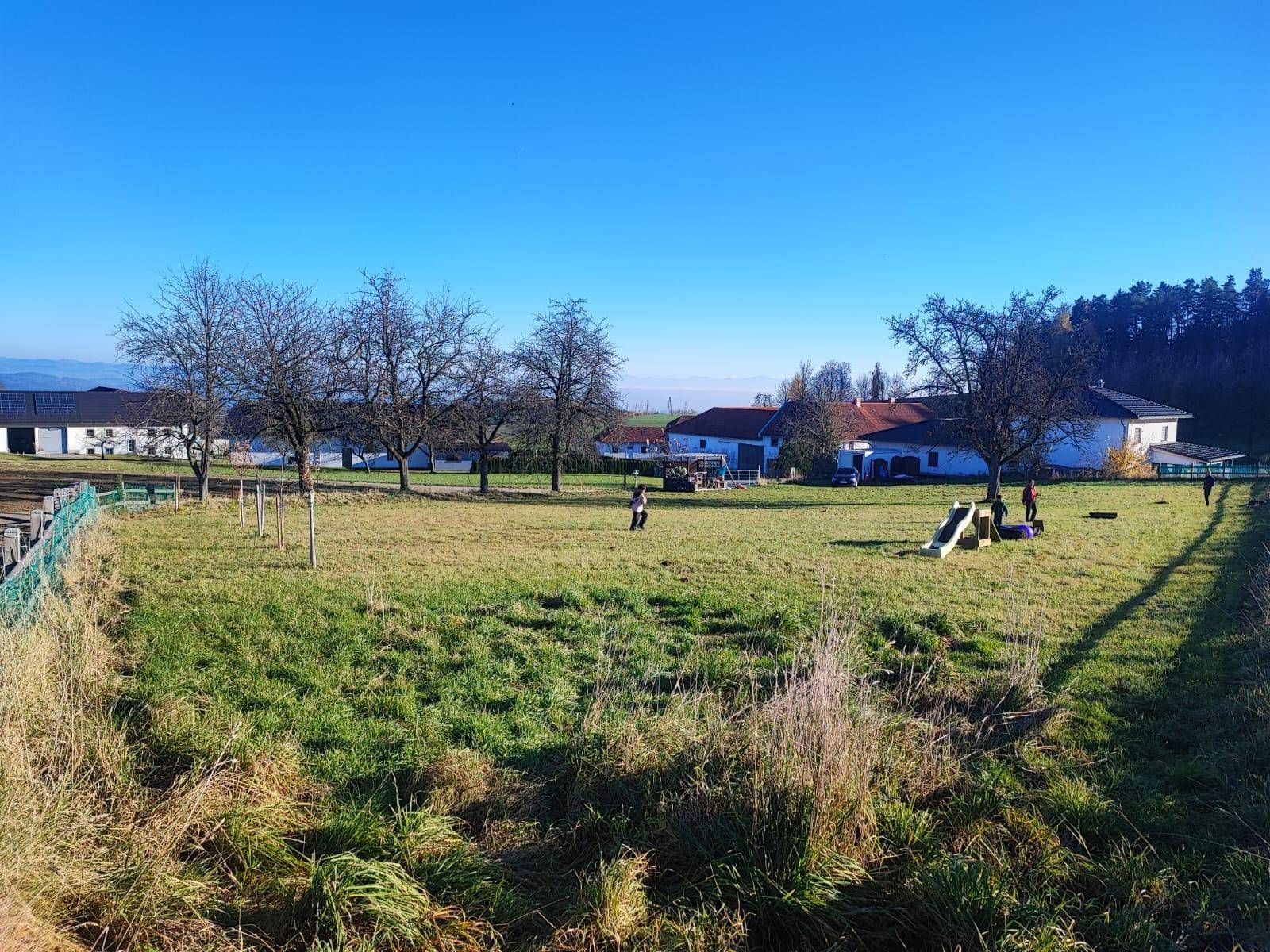 Sonnige Grünfläche mit Bäumen und einem Spielplatz, umgeben von ländlichen Gebäuden.