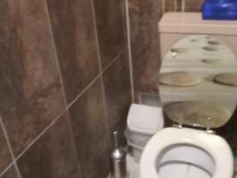 Toilette mit braunen Fliesen an den Wänden und einem kleinen Mülleimer.