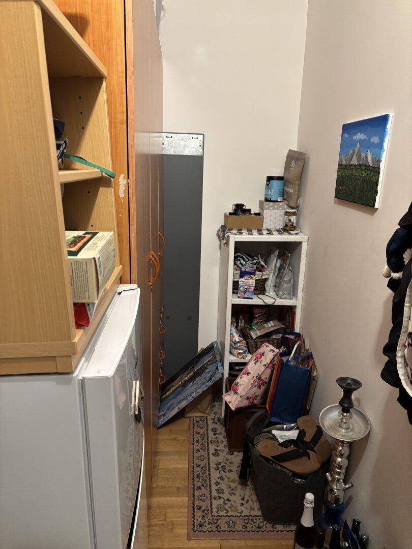 Schmaler Flur mit Regalen, Kühlschrank und Dekoration, dient als Durchgangsbereich.