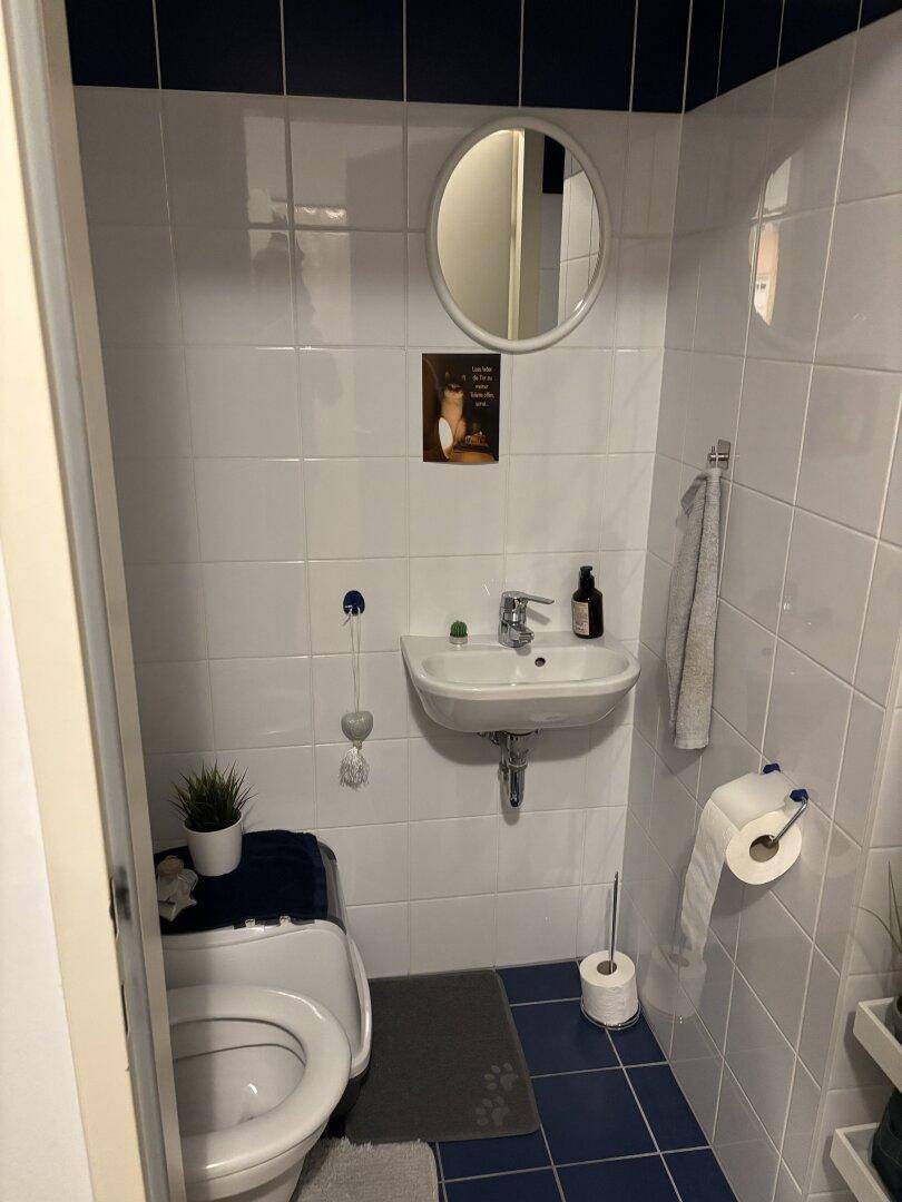 Kleines separates WC mit Waschbecken und Spiegel, gefliest in Weiß und Blau.