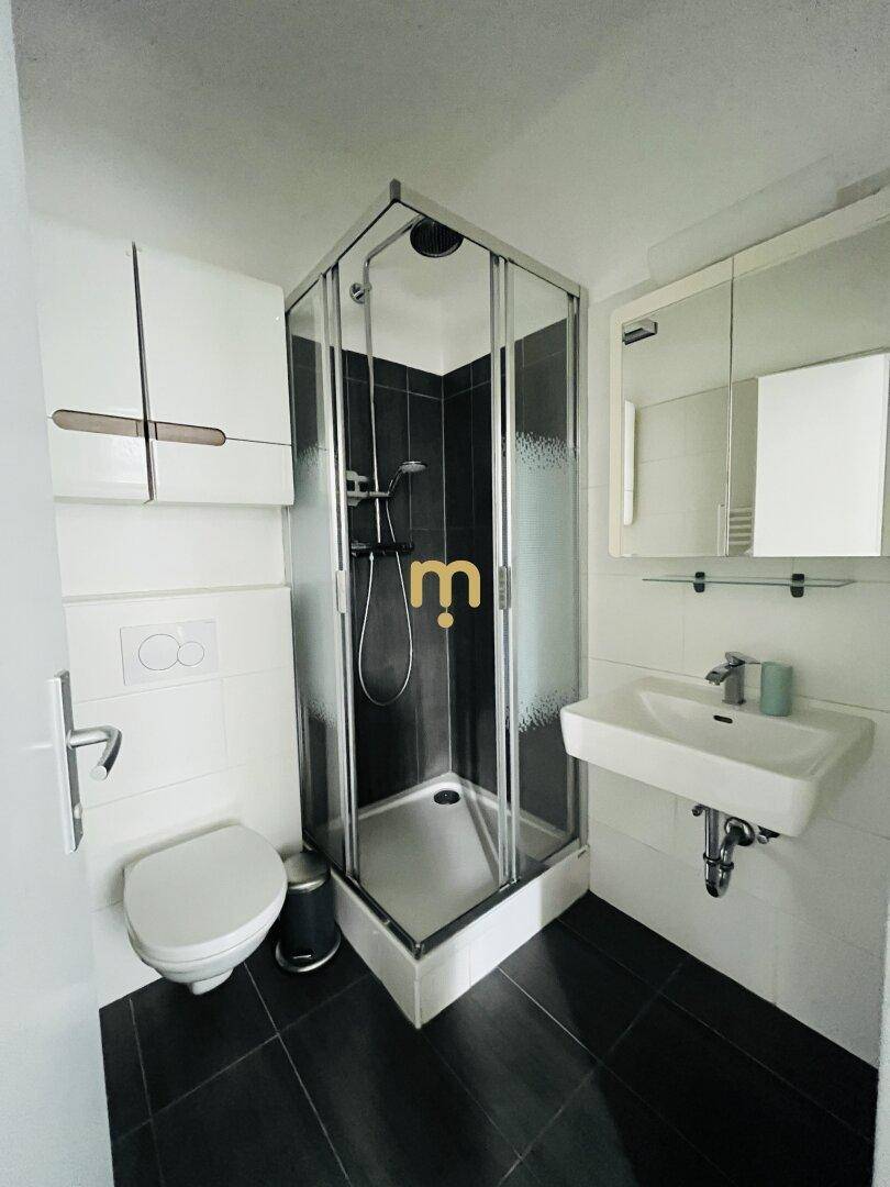 Modernes Badezimmer mit Duschkabine, WC und Waschbecken, ausgestattet mit dunklen Fliesen.