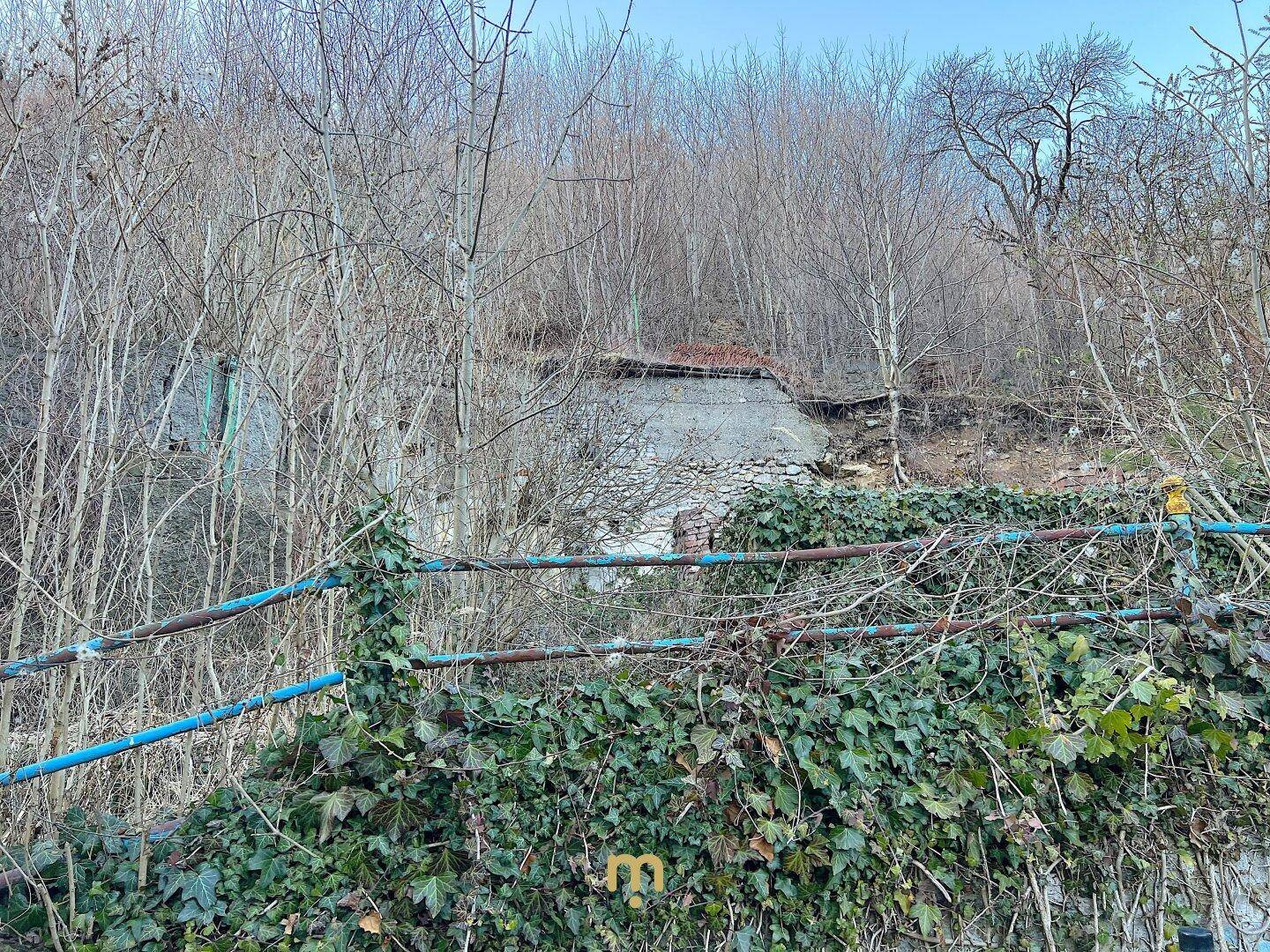 Verwildertes Grundstück mit einer alten, überwucherten Ruine und dichtem Bewuchs im Vordergrund.