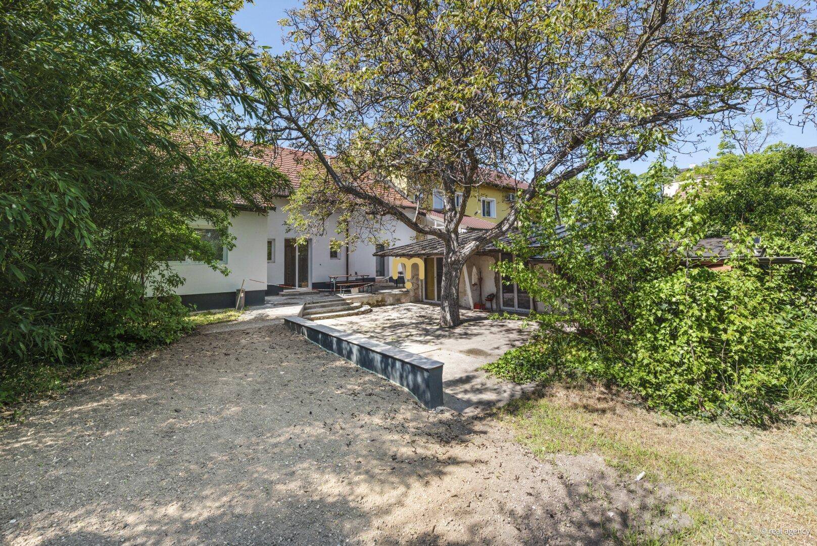 Rückansicht des Hauses mit großem Baum im Garten und gepflastertem Bereich.