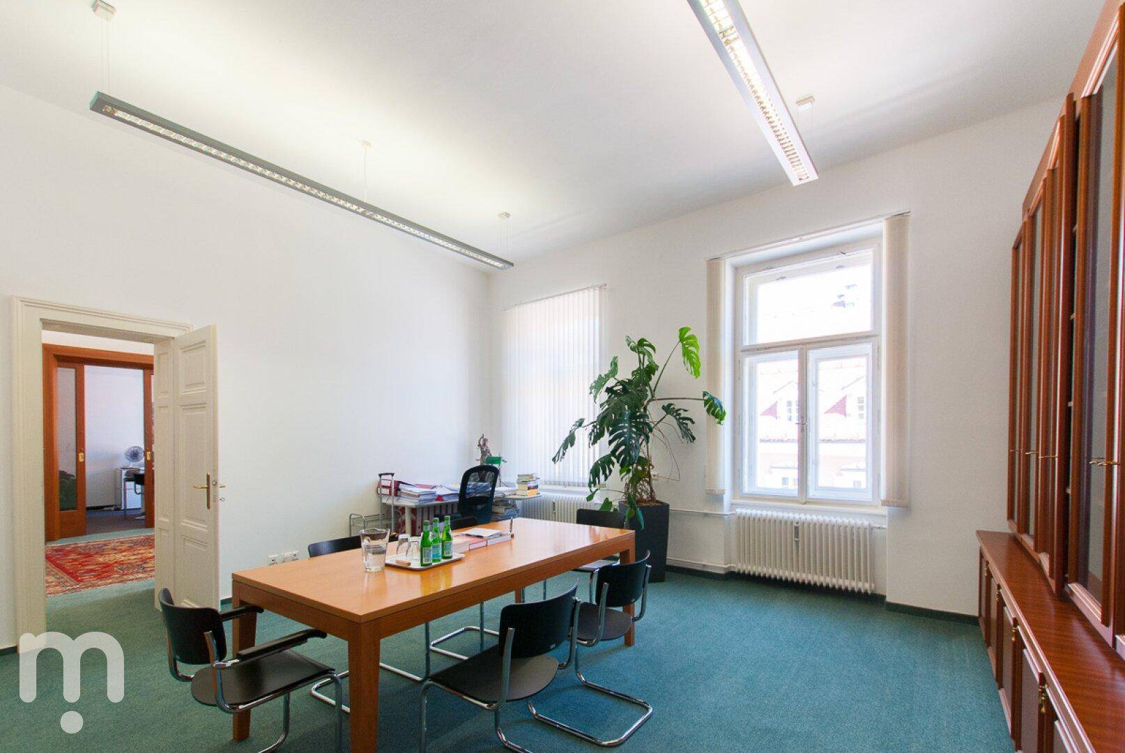 Ein helles Büro mit grünem Teppichboden, großem Holztisch und Blick auf die Stadt.