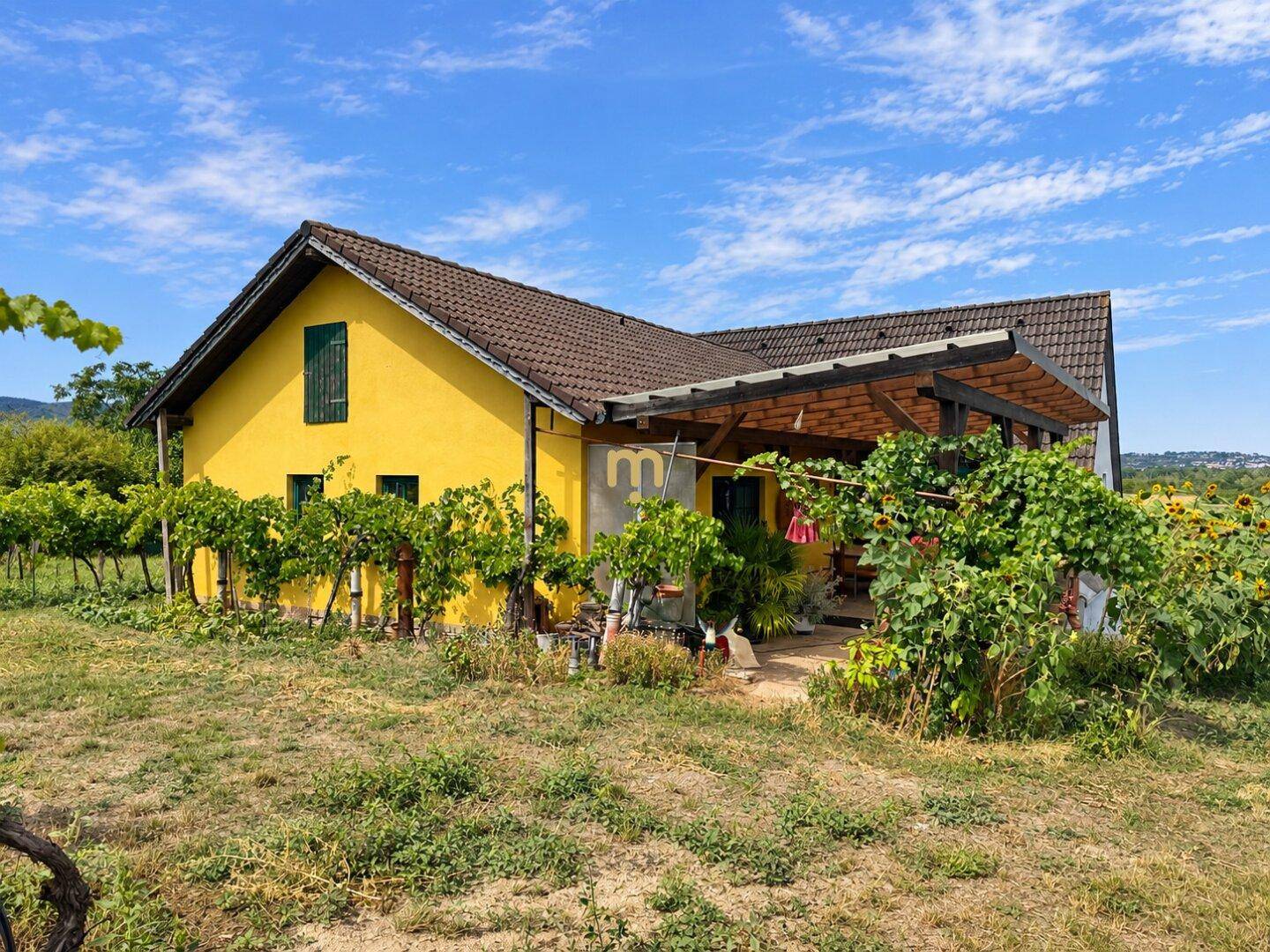 Gelbes Landhaus mit überdachter Terrasse, umgeben von Weinreben und blühenden Sonnenblumen.