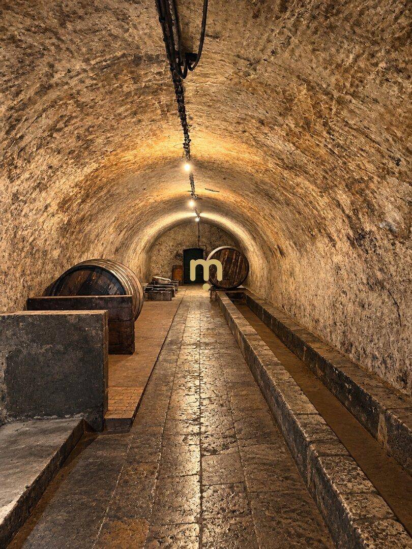 Historischer Weinkeller mit langen Gängen, Gewölbedecke und traditionellen Holzfässern zur Weinlagerung.
