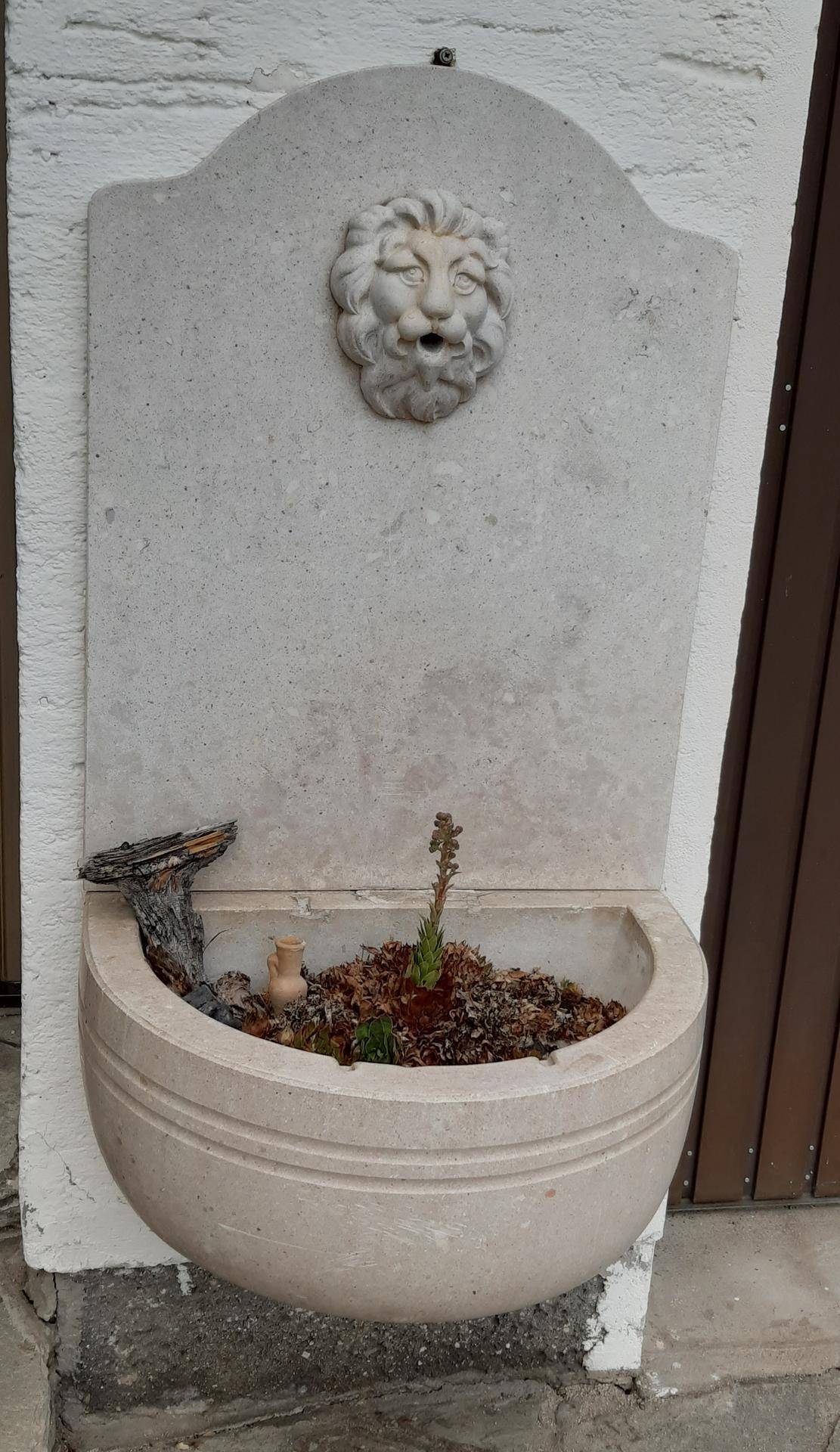 Dekorativer Steinbrunnen mit Löwenkopf an der Hauswand, mit kleiner Bepflanzung.