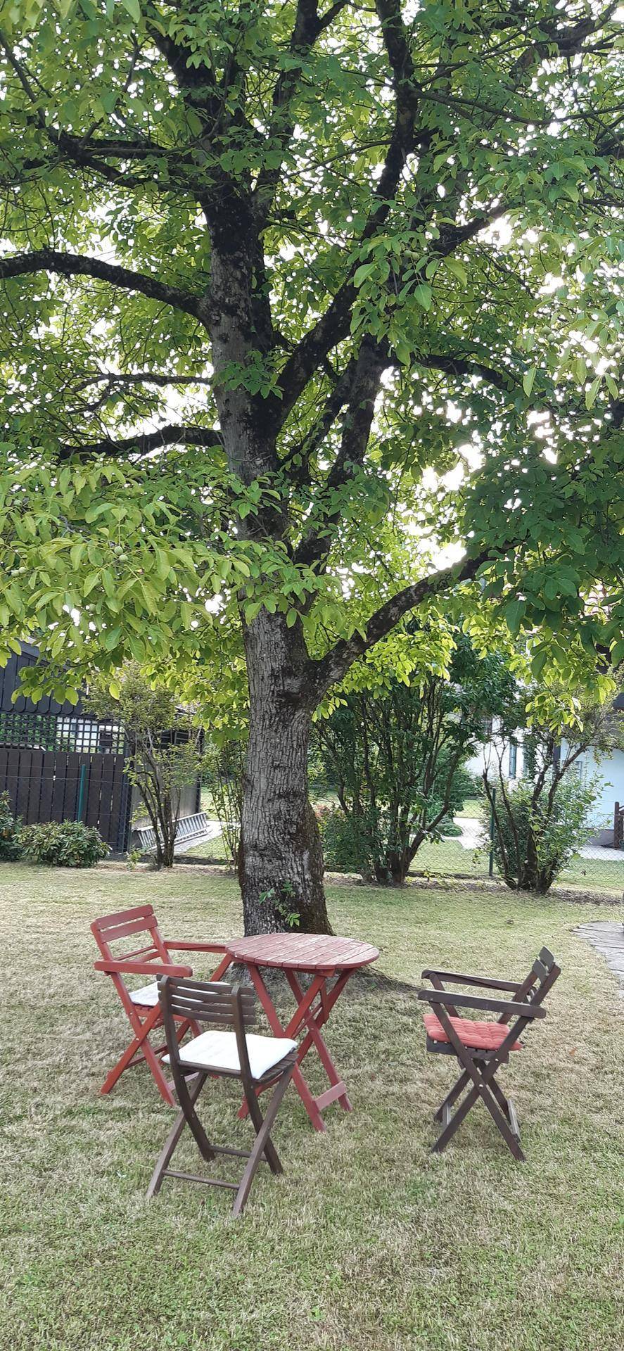 Gemütlicher Sitzbereich im Garten unter einem großen Baum, ideal zum Entspannen.