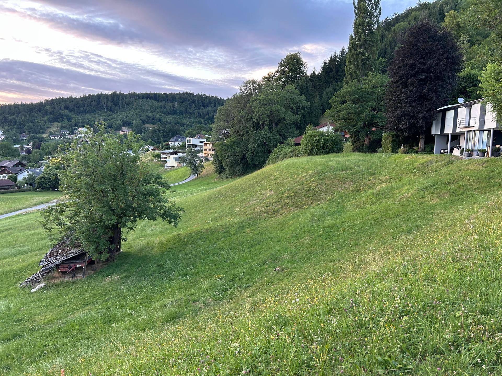 Grüne Hügellandschaft mit einem Haus am Hang, umgeben von Bäumen und weiteren Gebäuden in der Ferne.