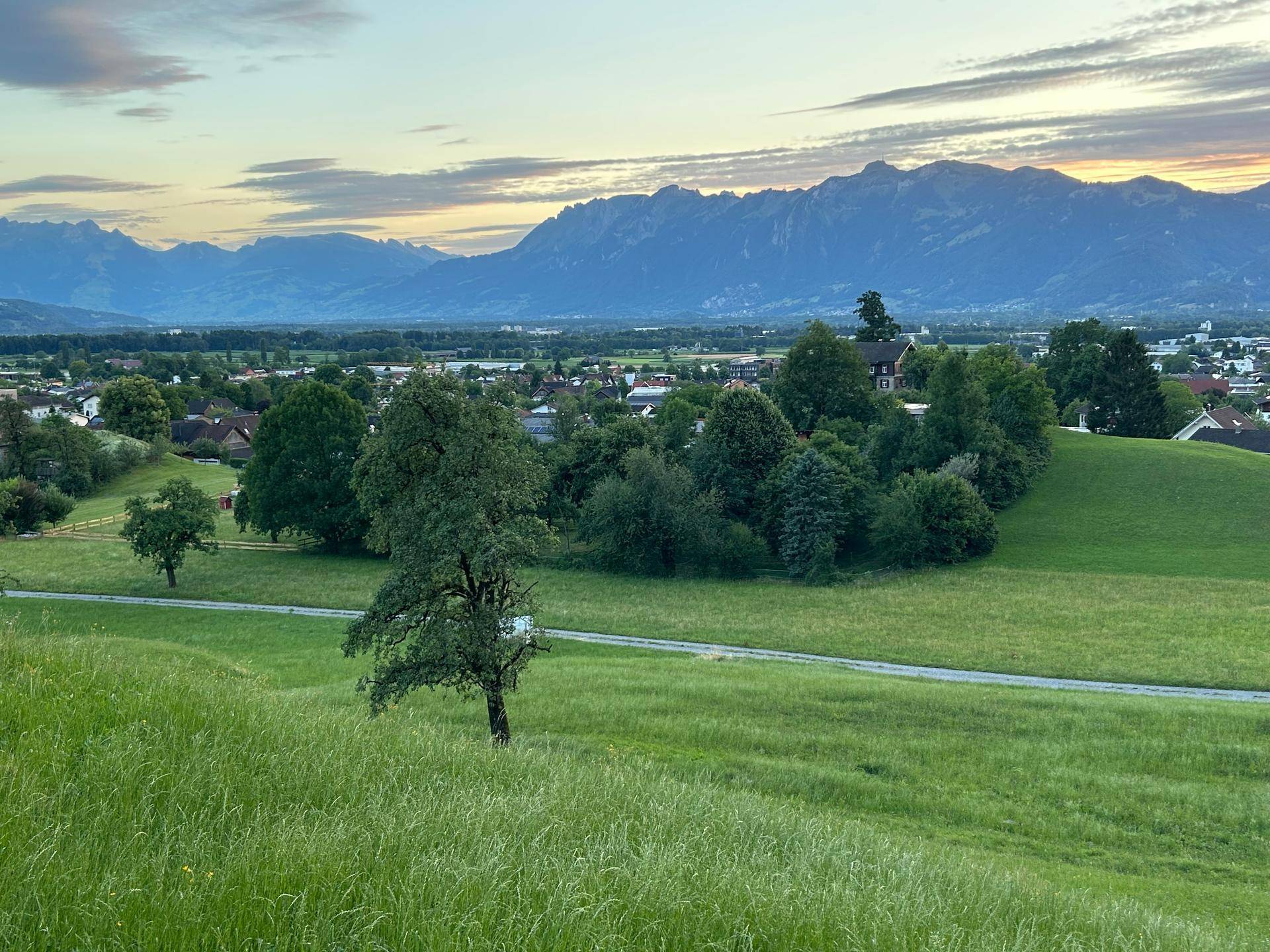 Grüne Hügellandschaft mit einem markanten Baum, Häusern und einer majestätischen Bergkette im Hintergrund.