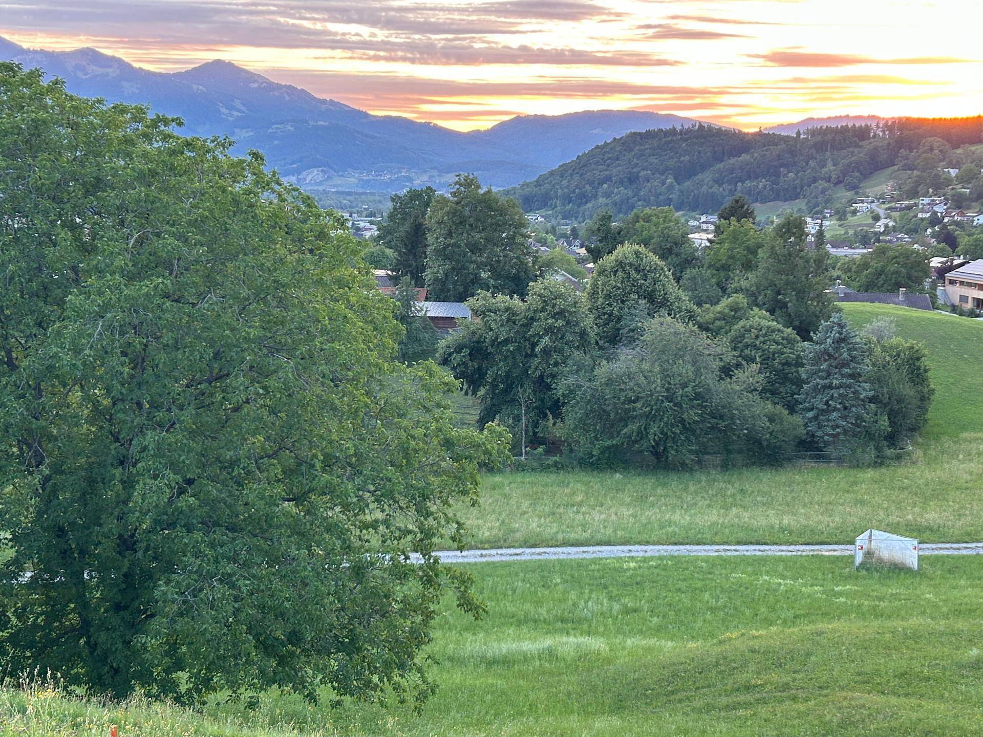 Blick auf eine bewaldete Landschaft mit grünen Feldern und einem Dorf in der Ferne bei warmem Abendlicht.