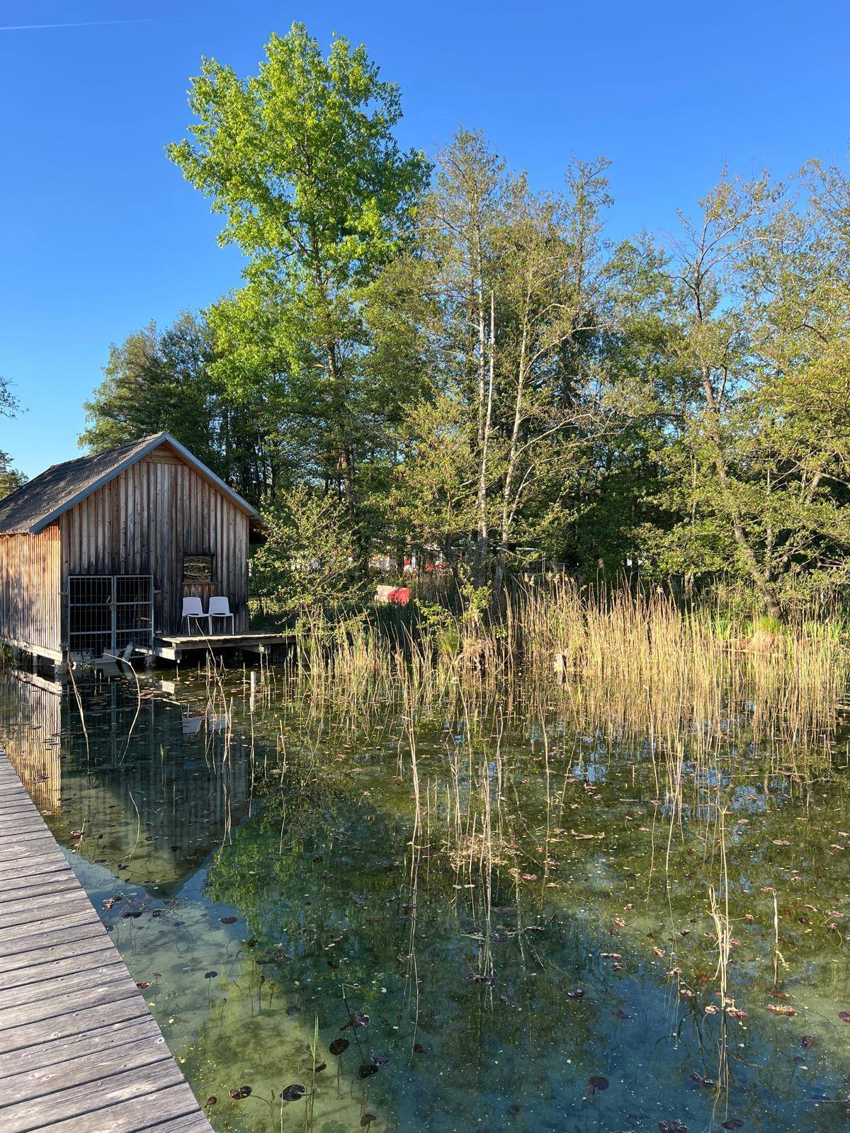 *Ab sofort verfügbar!* Ruhiger STRANDPLATZ mit SEEZUGANG am Klopeiner See – pohled 5