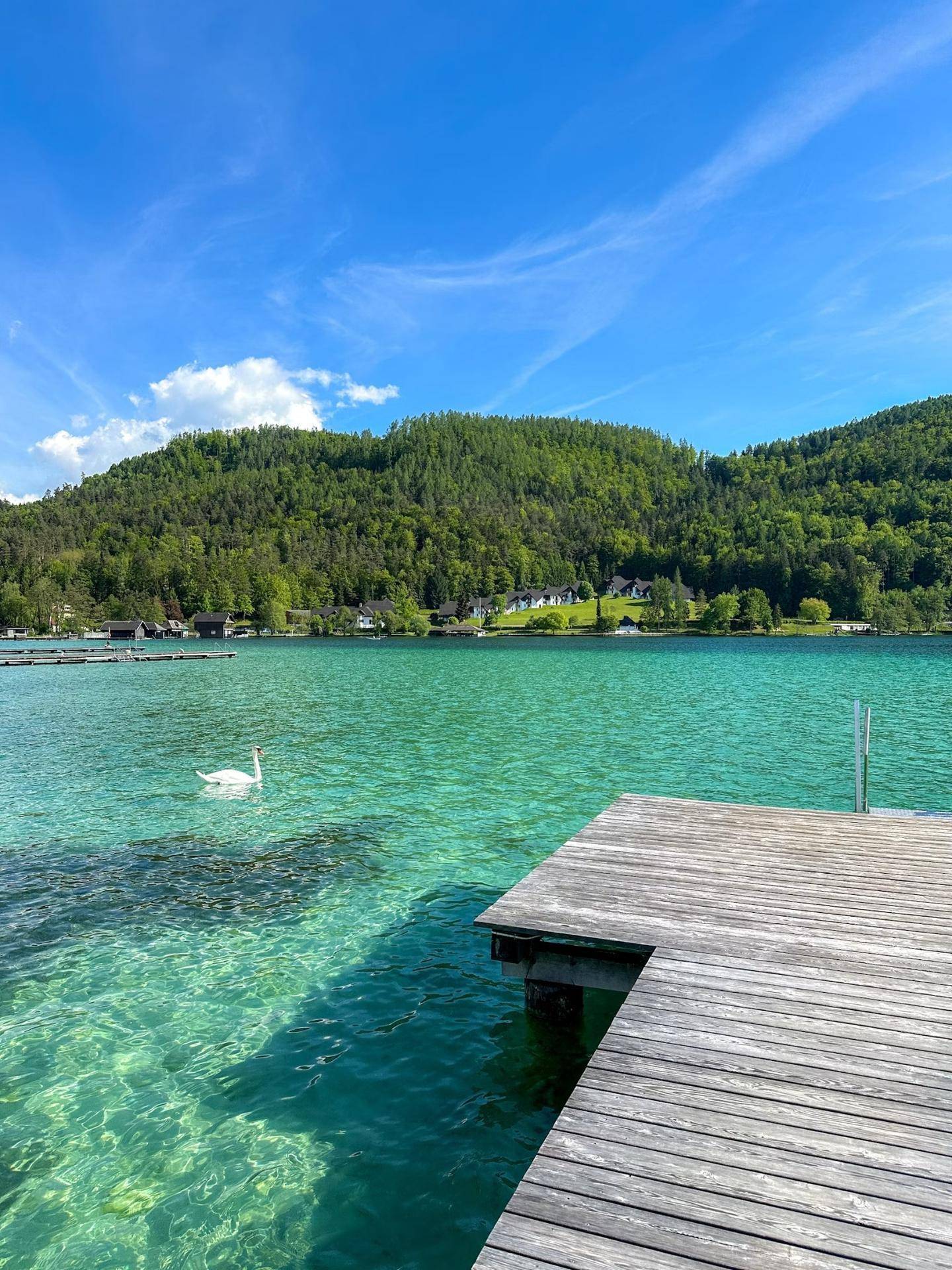 Holzsteg am Ufer eines klaren, türkisfarbenen Sees mit einem schwimmenden Schwan.
