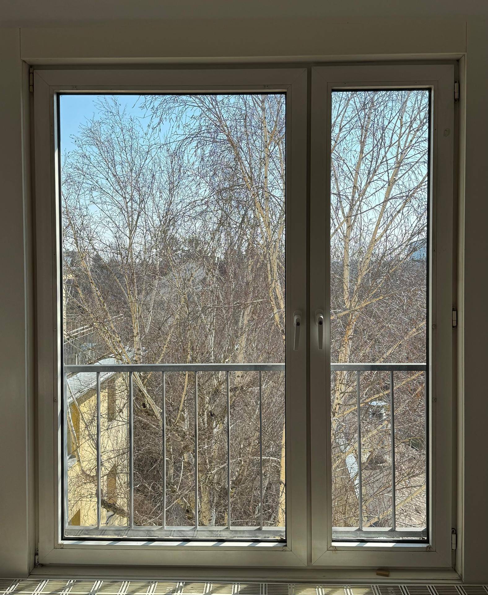 Ausblick aus dem Fenster mit französischem Balkon auf Bäume und umliegende Gebäude.