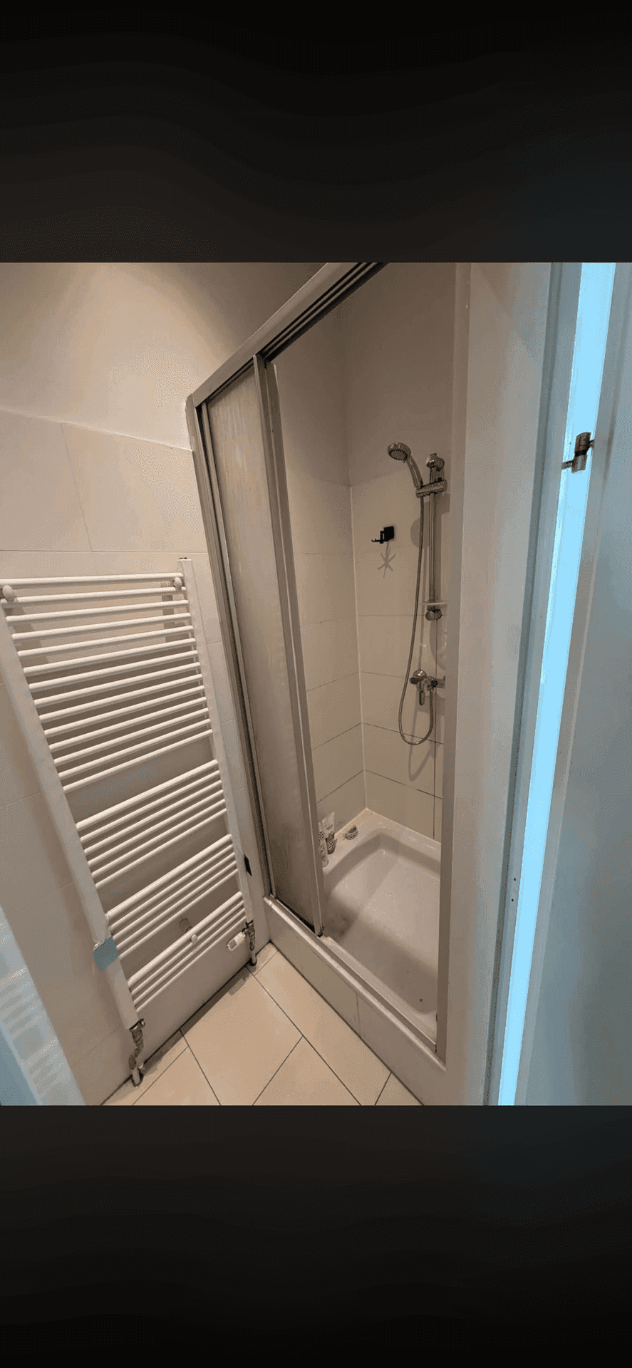 Duschbereich im Badezimmer mit Duschkabine und beheiztem Handtuchhalter.