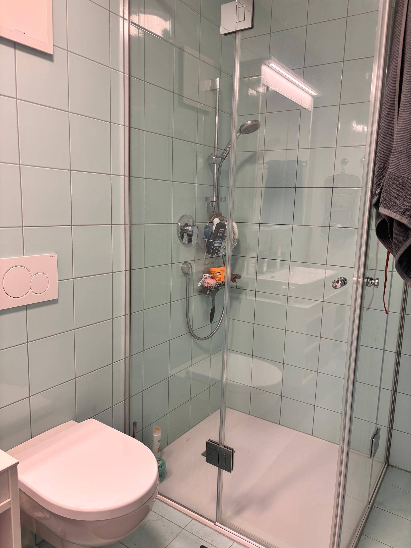 Duschbereich im Badezimmer mit Glasabtrennung und hellblauen Wandfliesen.