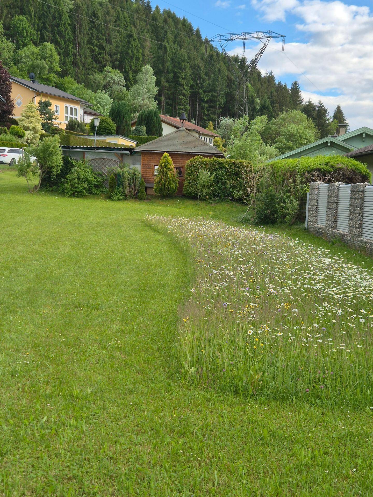 Große Rasenfläche mit Wildblumen, umgeben von Wohnhäusern und einem bewaldeten Hang.