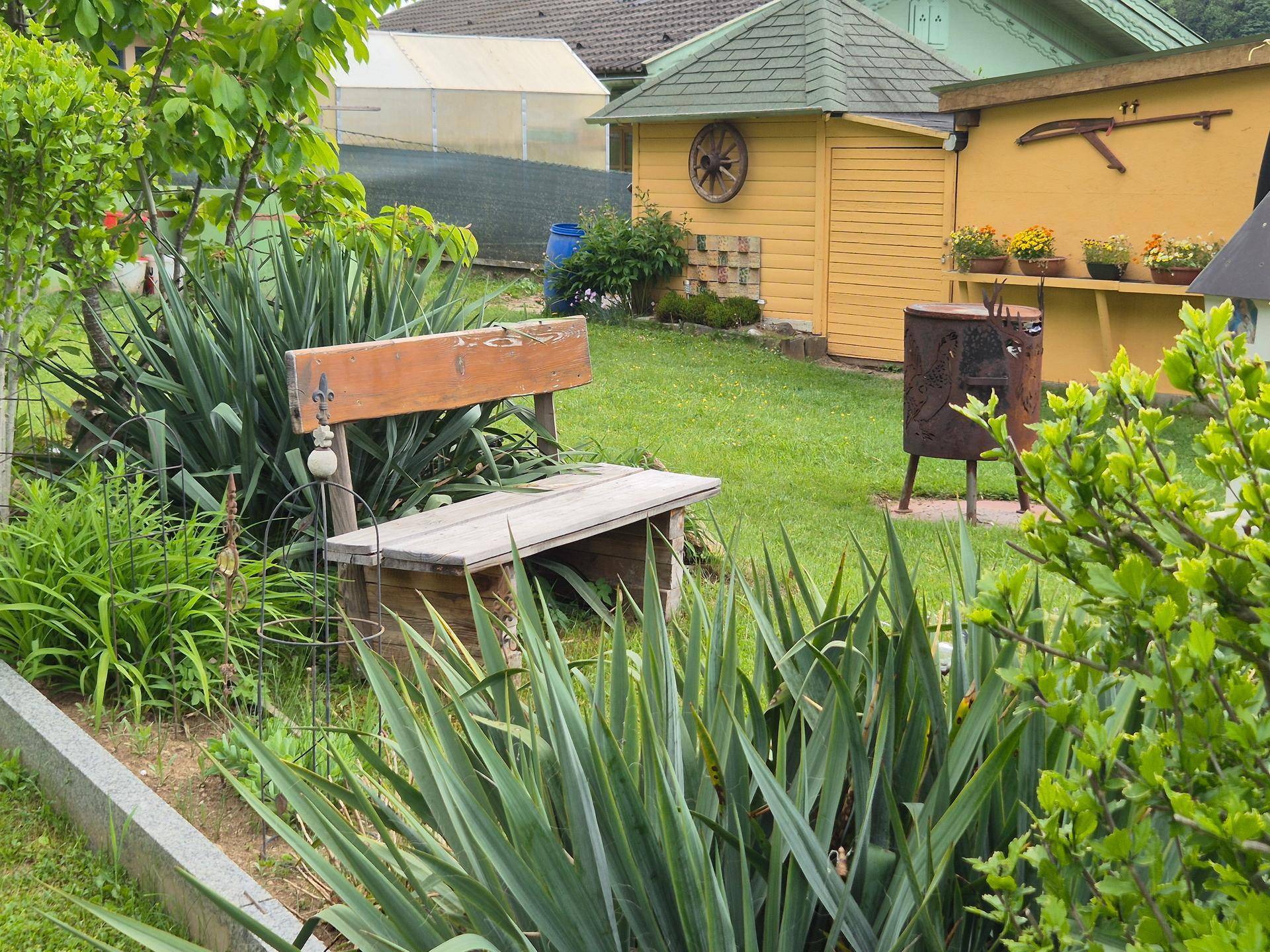 Ruhiger Gartenbereich mit Holzbank, üppiger Bepflanzung und gelber Gartenhütte.