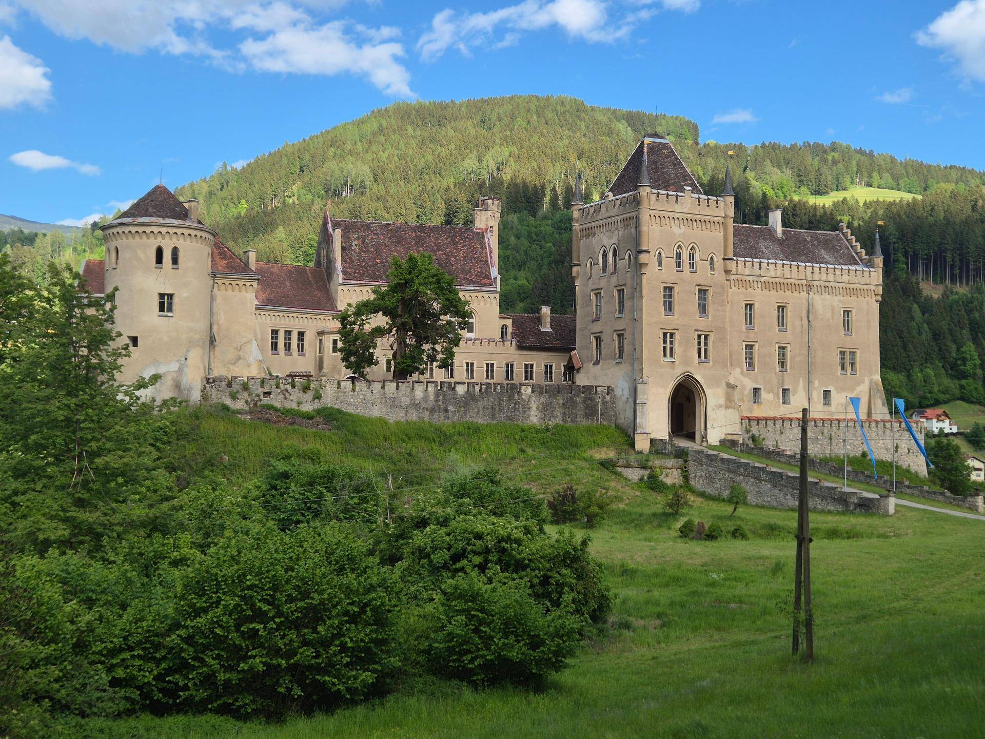 Beeindruckendes historisches Schloss mit Türmen und Zinnen vor einem bewaldeten Hügel.