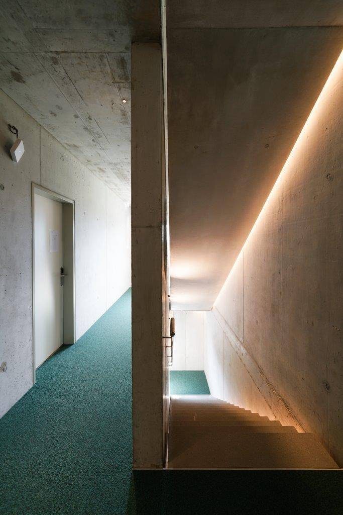 Moderner Flur mit einer beleuchteten Betontreppe und einem grünen Teppichboden.