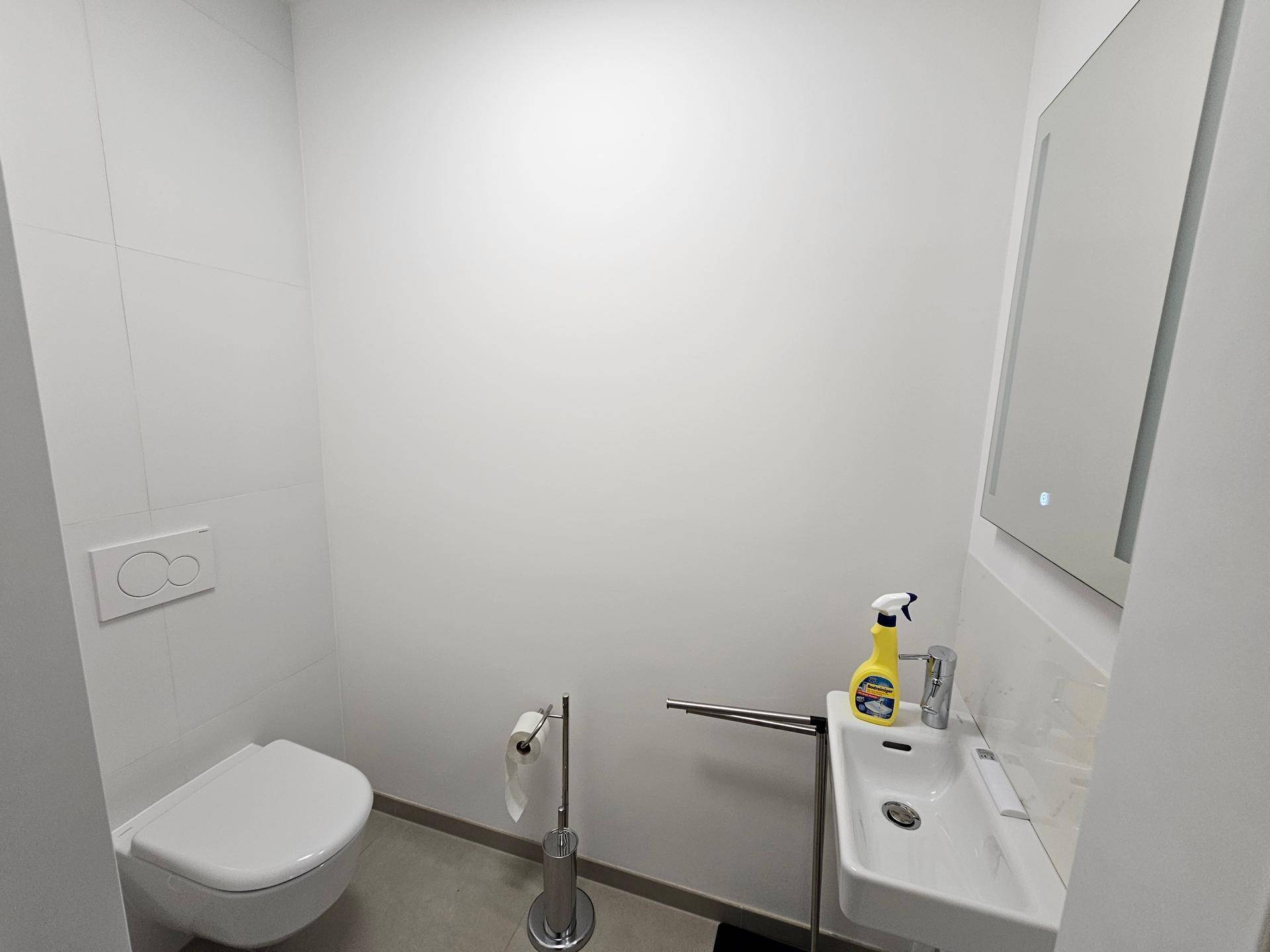 Modernes Gäste-WC mit wandhängender Toilette und kleinem Waschbecken.