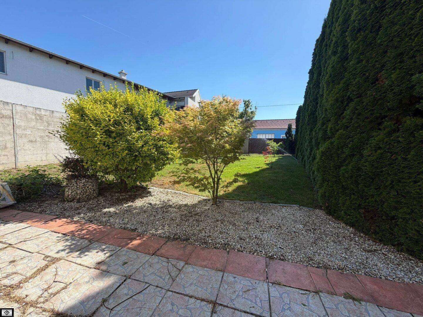 Gepflasterter Terrassenbereich führt zu einem Garten mit Ziersträuchern und einer hohen Hecke.