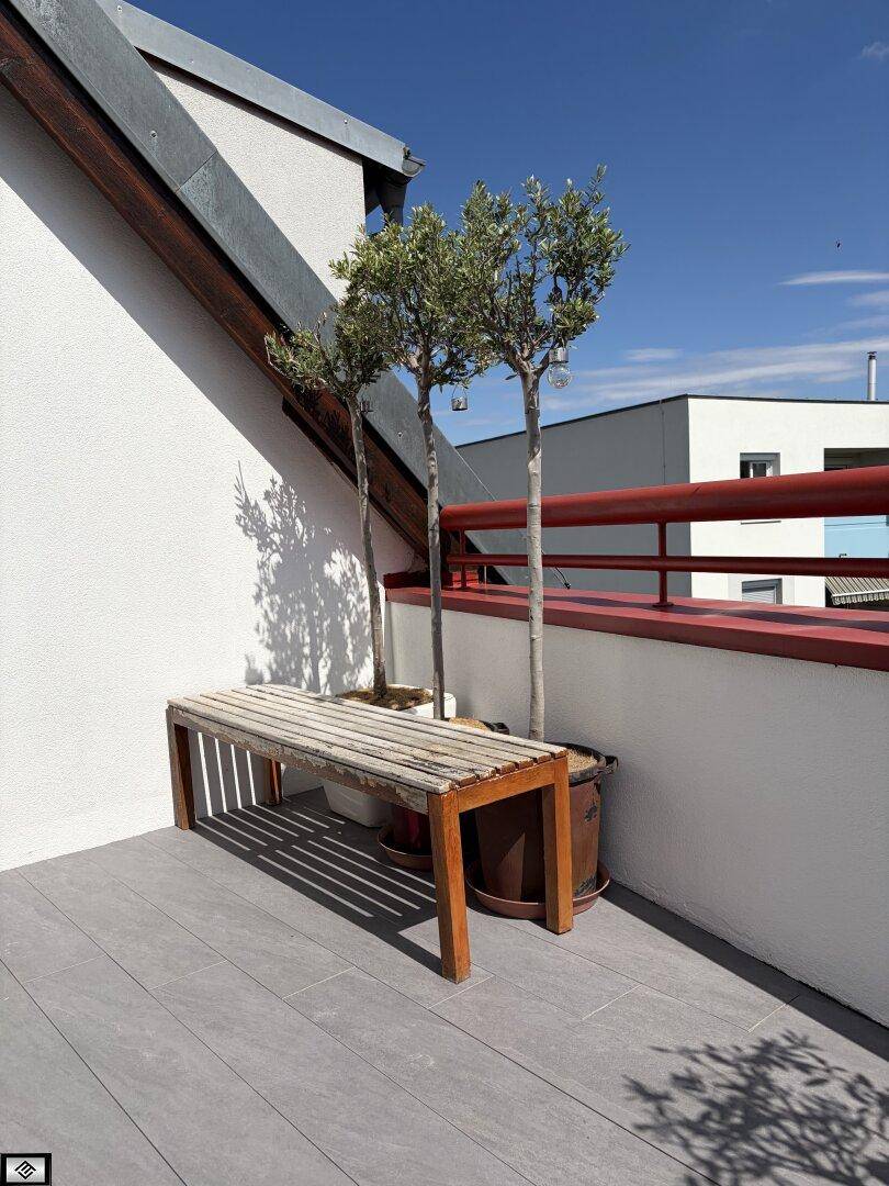 Sonniger Terrassenbereich mit grauen Fliesen, einer Holzbank und dekorativen Olivenbäumen.