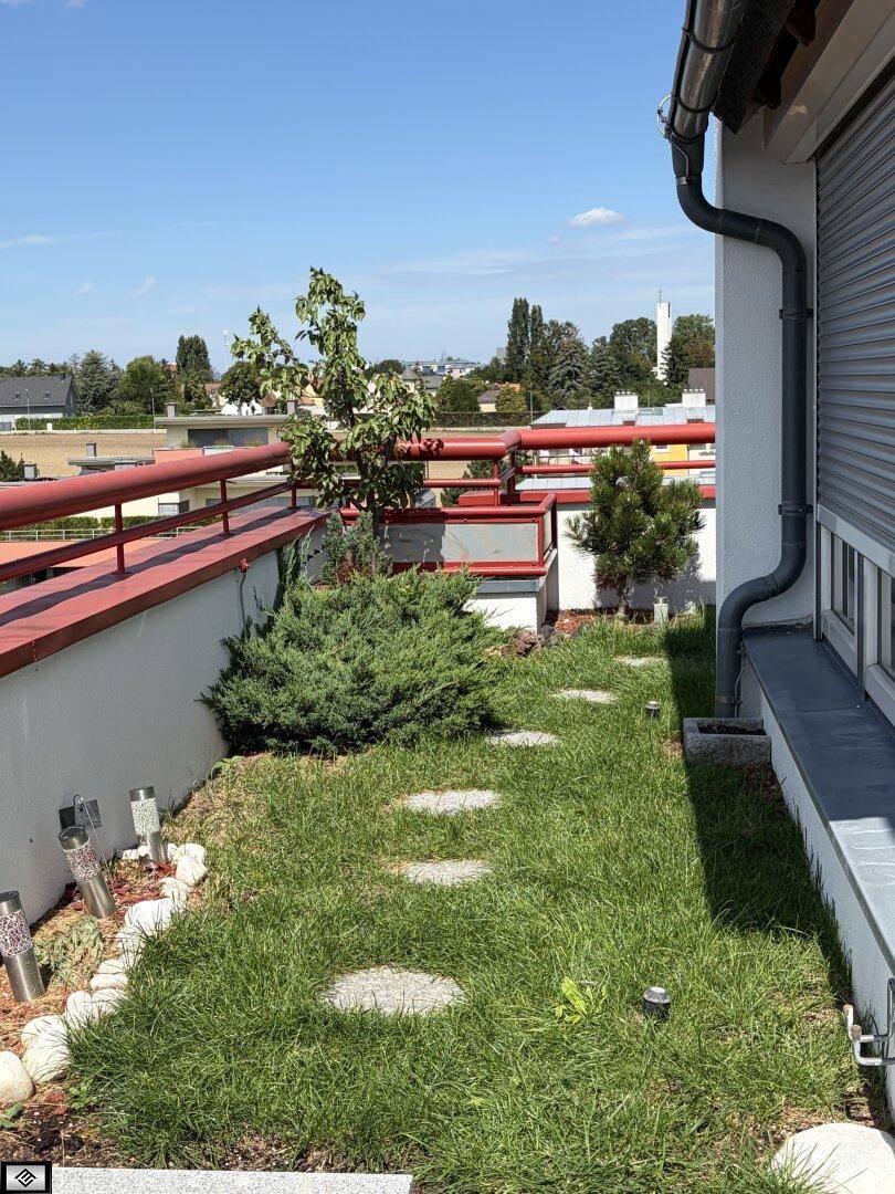 Kleiner Dachgarten mit Rasen, Trittsteinen und Pflanzen, umgeben von einer roten Brüstung.
