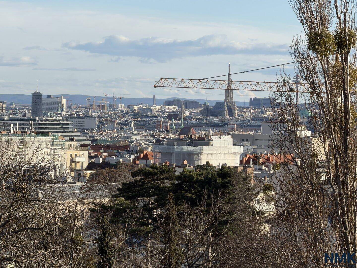 Panoramablick über die Stadt mit historischen Gebäuden und bewaldeten Hügeln im Hintergrund.