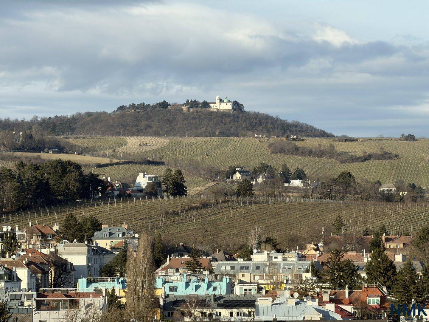 Weitläufiger Blick auf sanfte Hügel mit Weinbergen und einem Schloss in der Ferne.