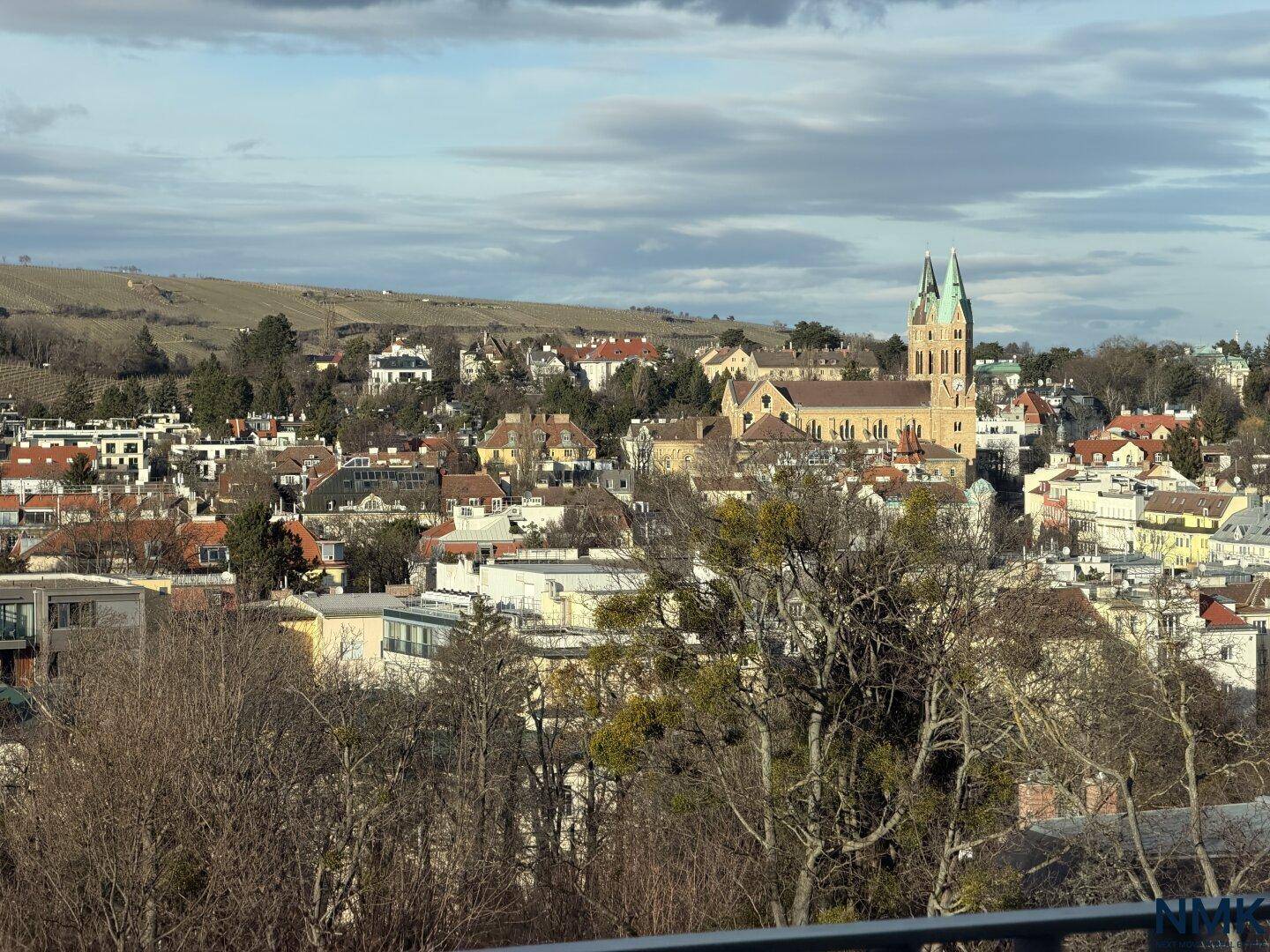 Malerischer Blick auf eine Stadt mit einer markanten Kirche, umgeben von Hügeln und Weinbergen.