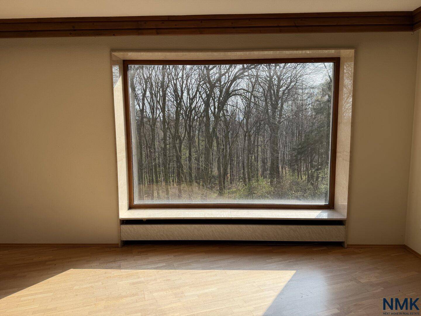 Nahaufnahme des großen Fensters im Wohnzimmer mit Blick auf die kahlen Bäume im Winter.