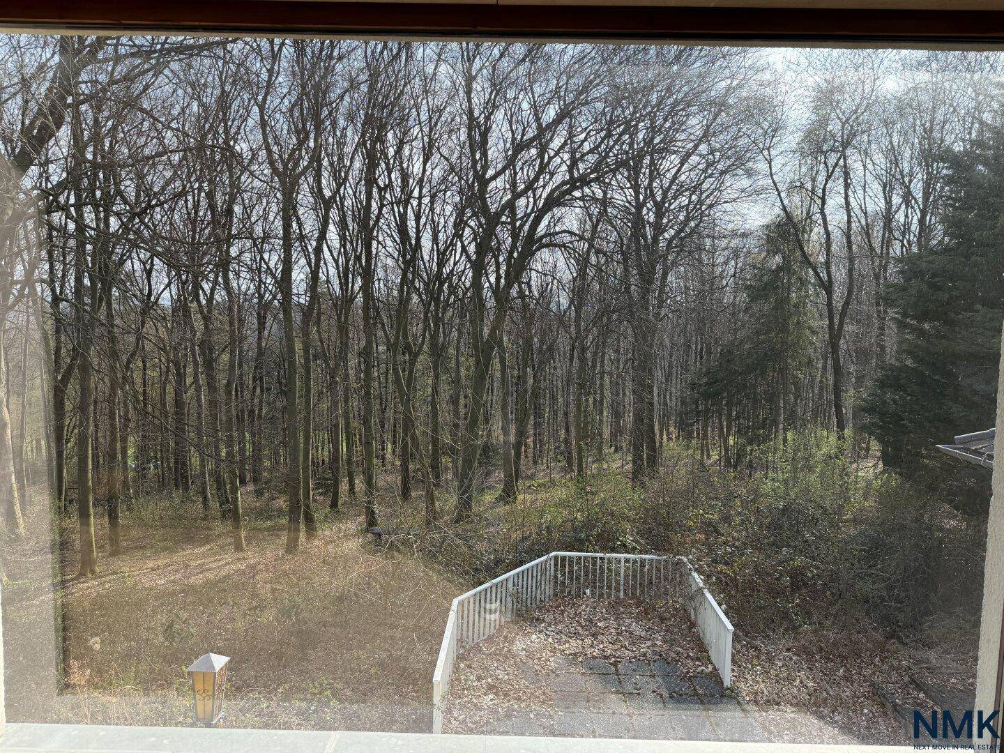 Blick aus dem Fenster auf einen dichten Wald und eine kleine, ungenutzte Terrasse.