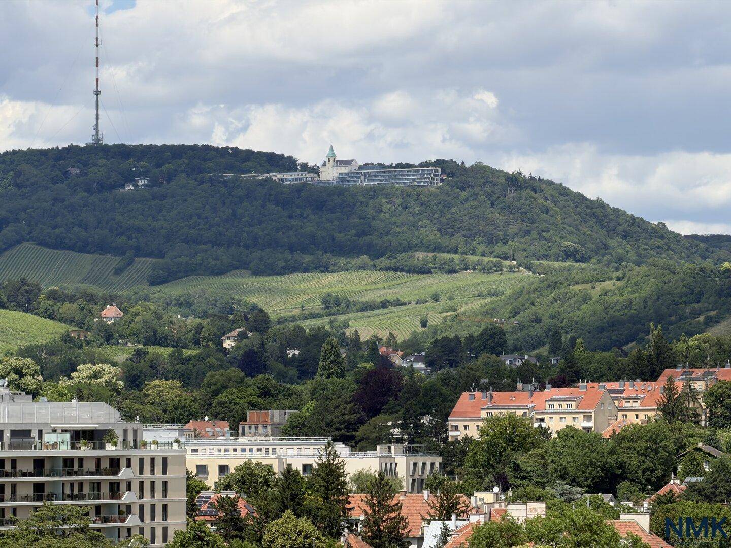 Malerischer Blick auf bewaldete Hügel, Weinberge und eine Kirche auf dem Berg.