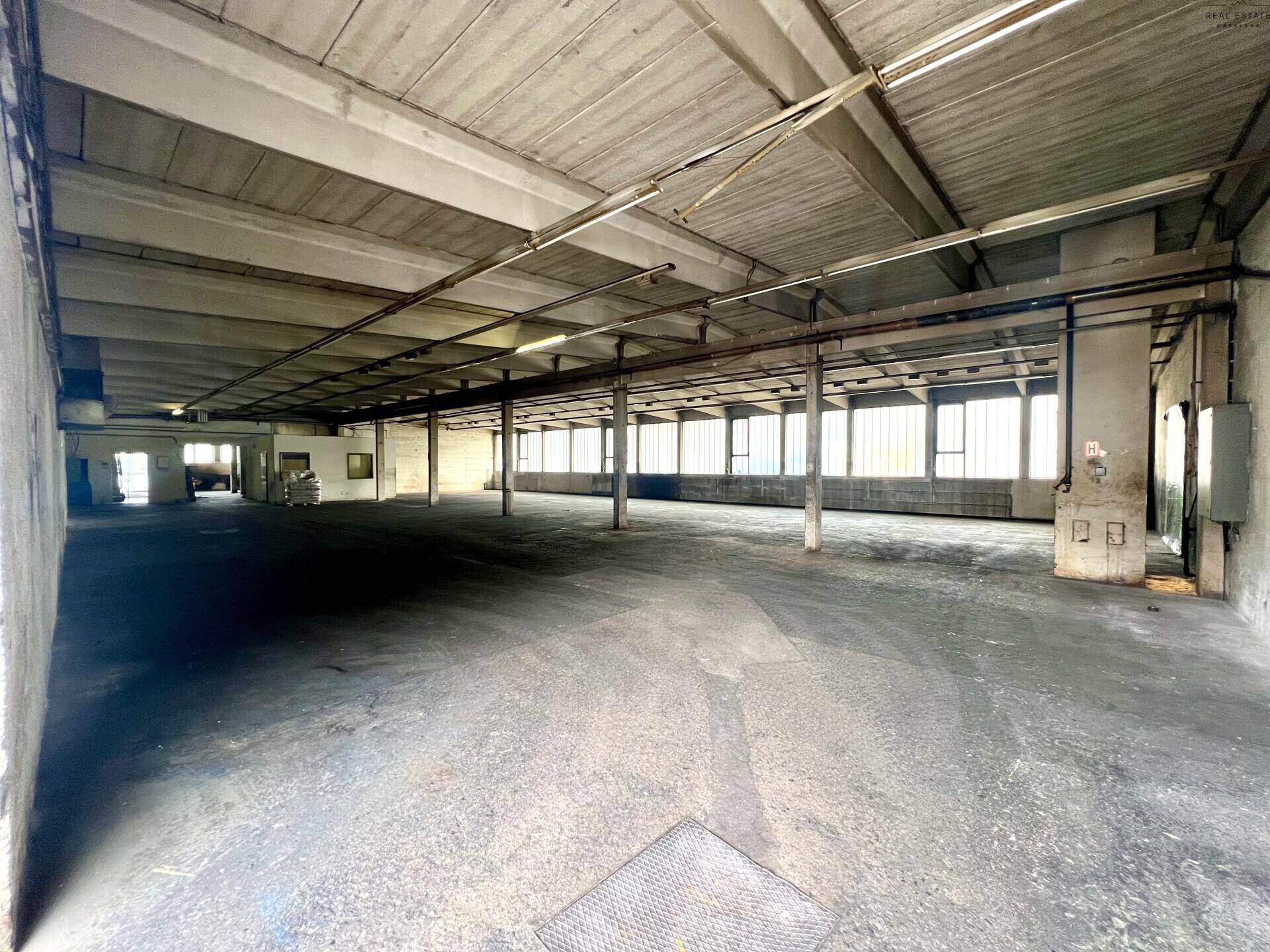 Geräumige Industriehalle mit Betonboden, vielen Fenstern und sichtbaren Deckenbalken, ideal für Lagerung.