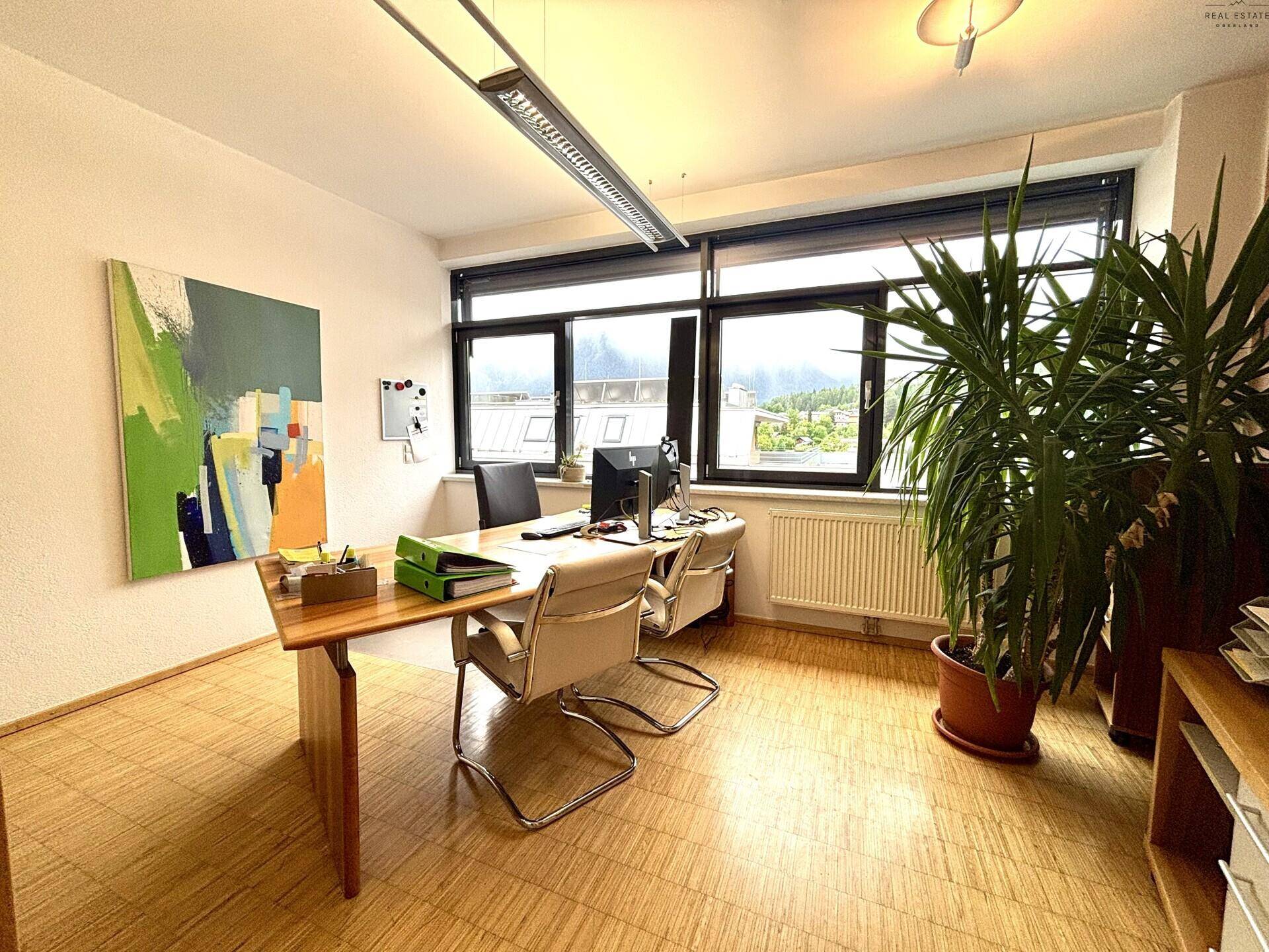 Bürozimmer mit Schreibtisch, Stühlen, großer Pflanze und Fenstern mit Ausblick.