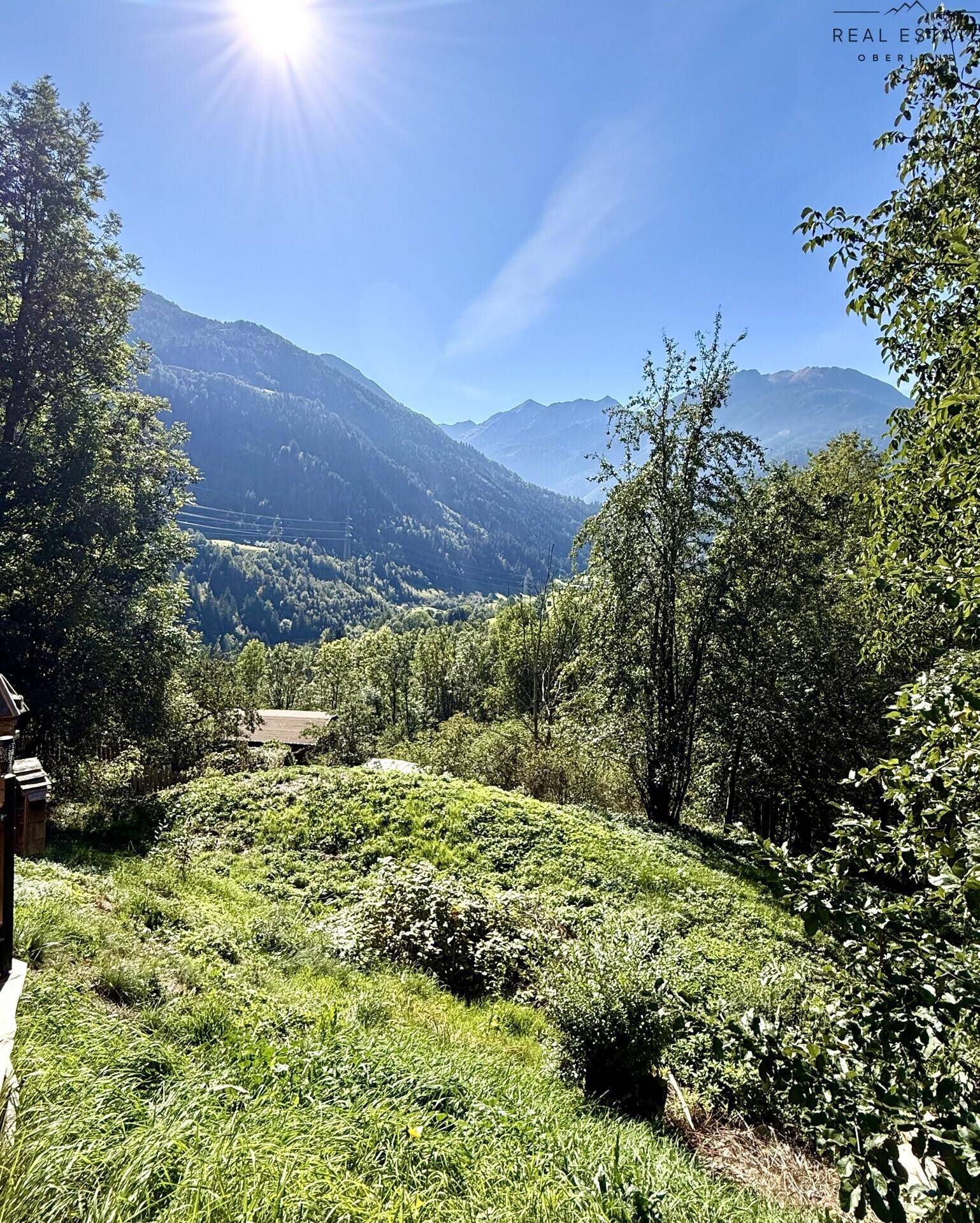 Sonnige Berglandschaft mit üppiger Vegetation und weitem Blick in die Ferne.